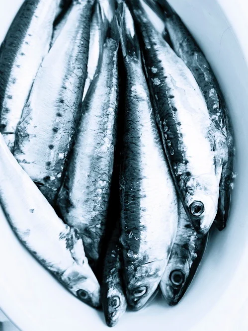 L_RPS1537_Ing_Sardines_2660.jpg