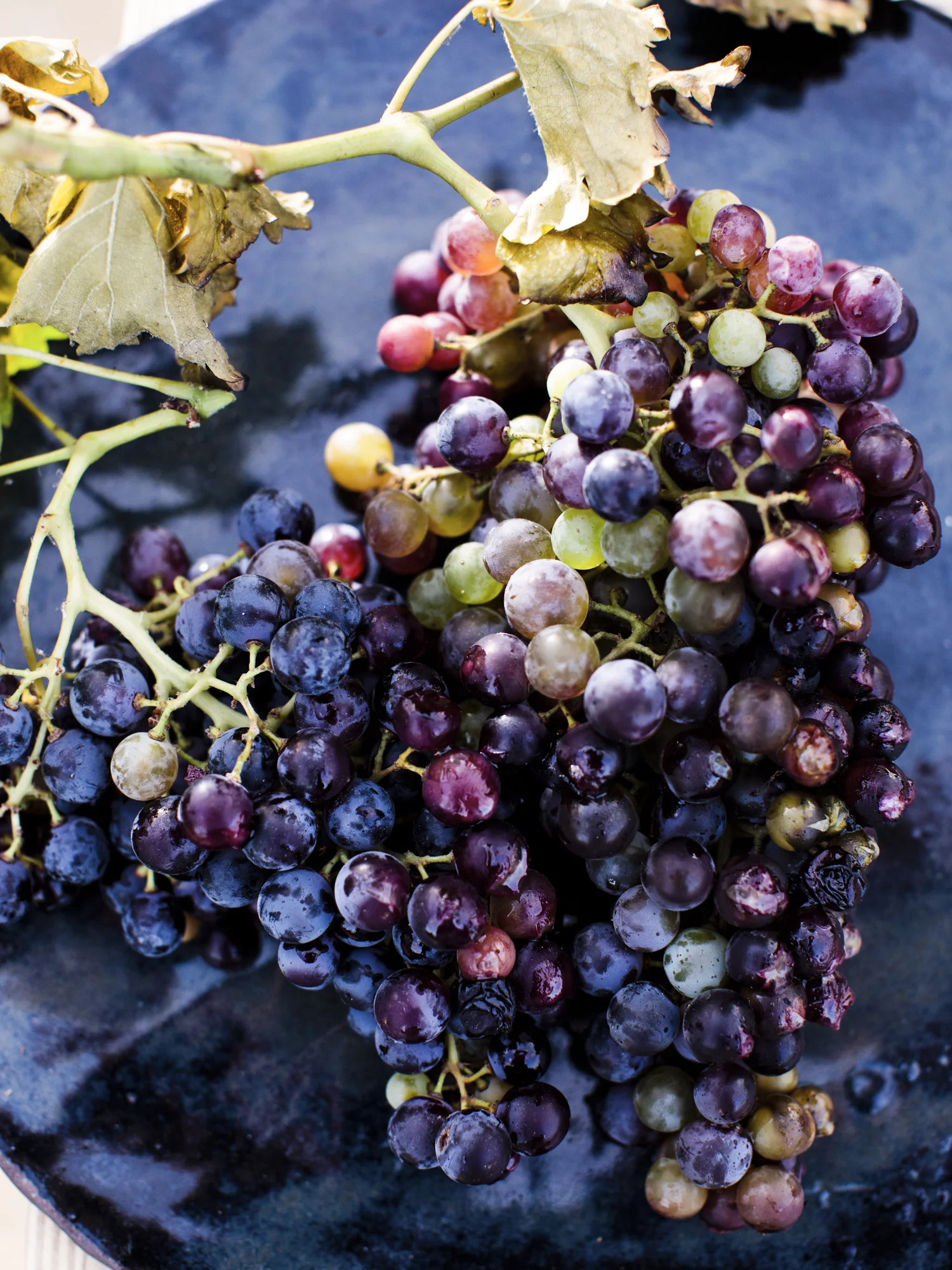 RPS_AppleCreekRanch_Ing_GrilledGrapes_4212.jpg