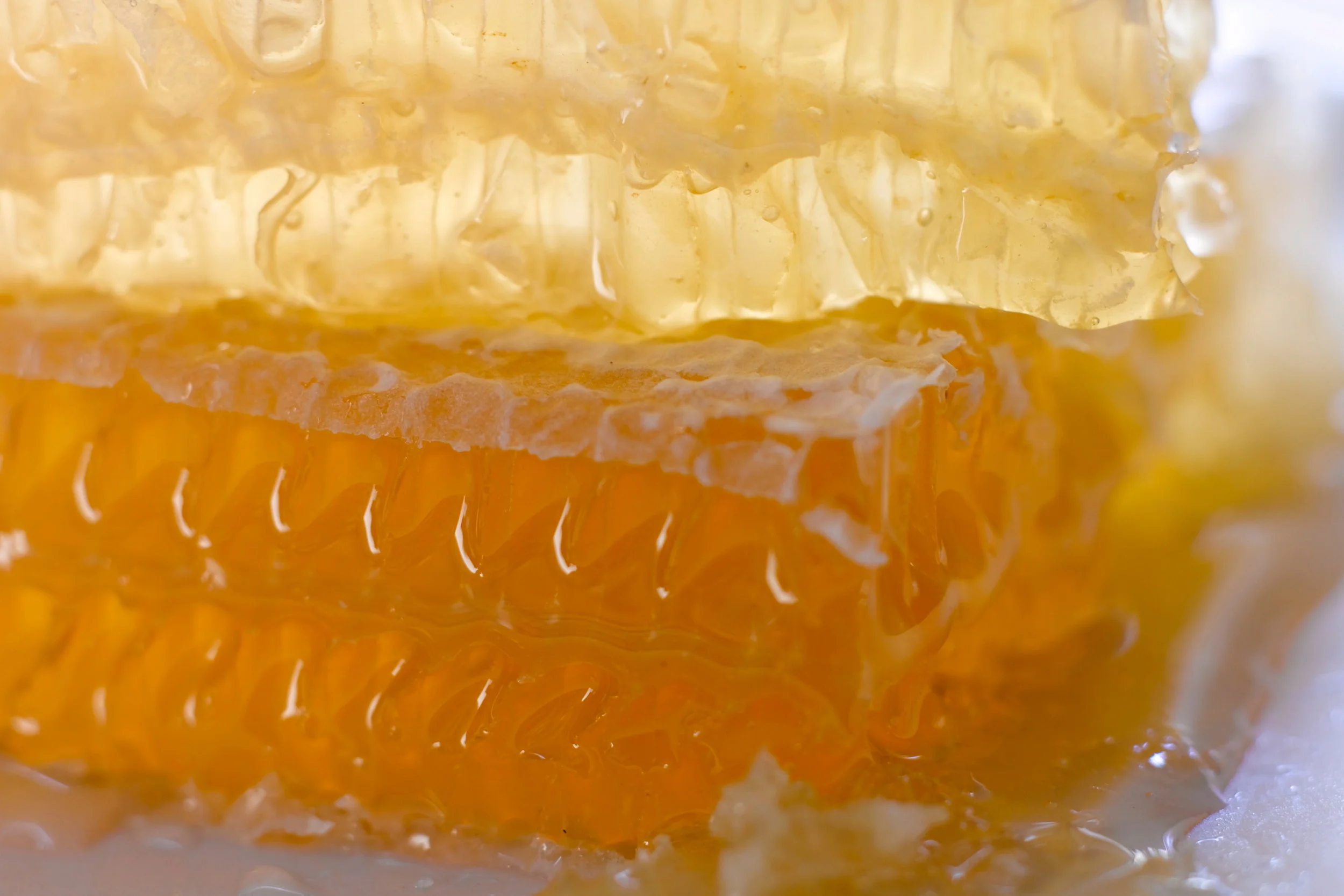 Honeycomb-00019 copy.jpg