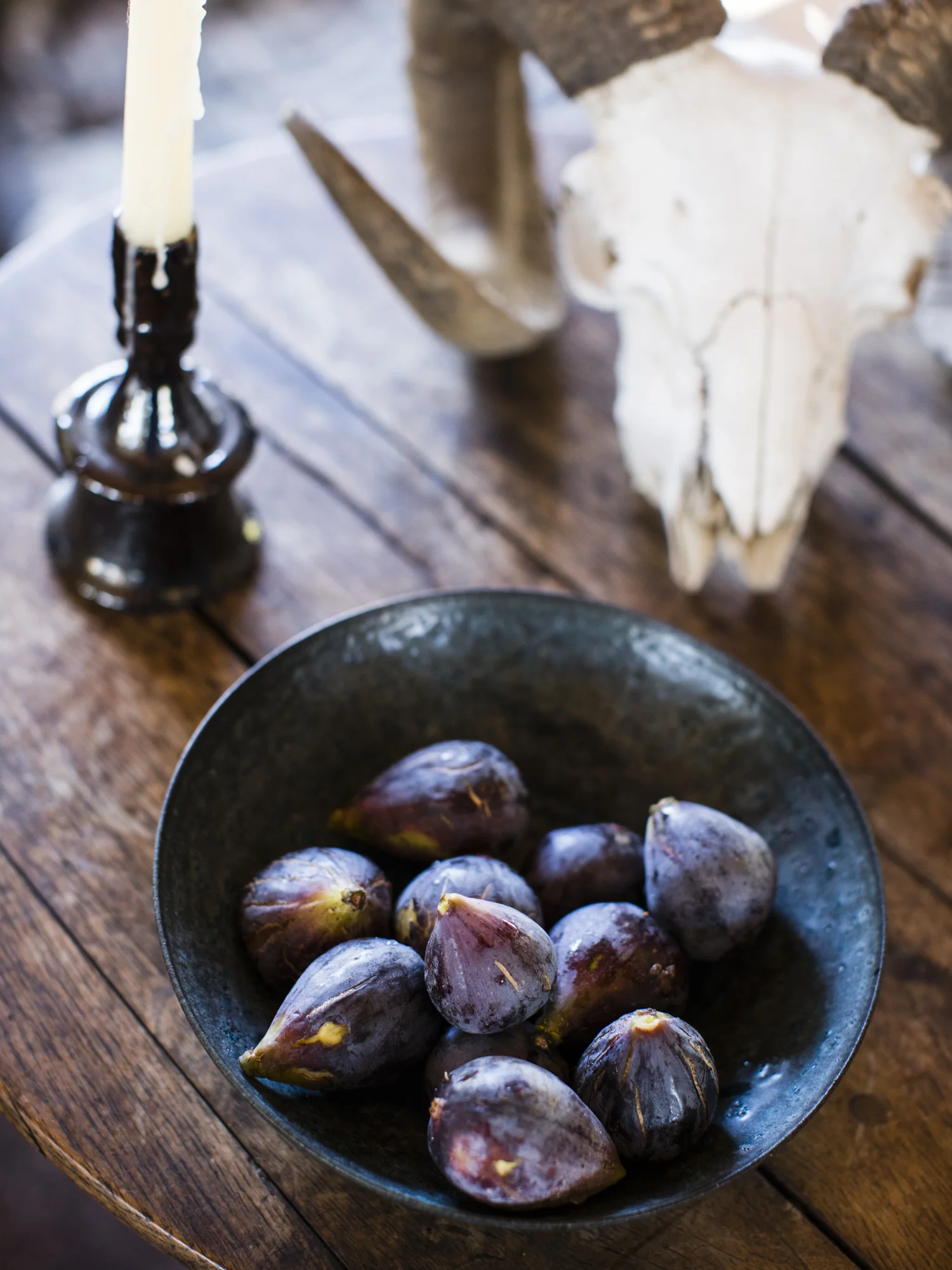 RPS_AppleCreekRanch_Ing_Figs_3913.jpg