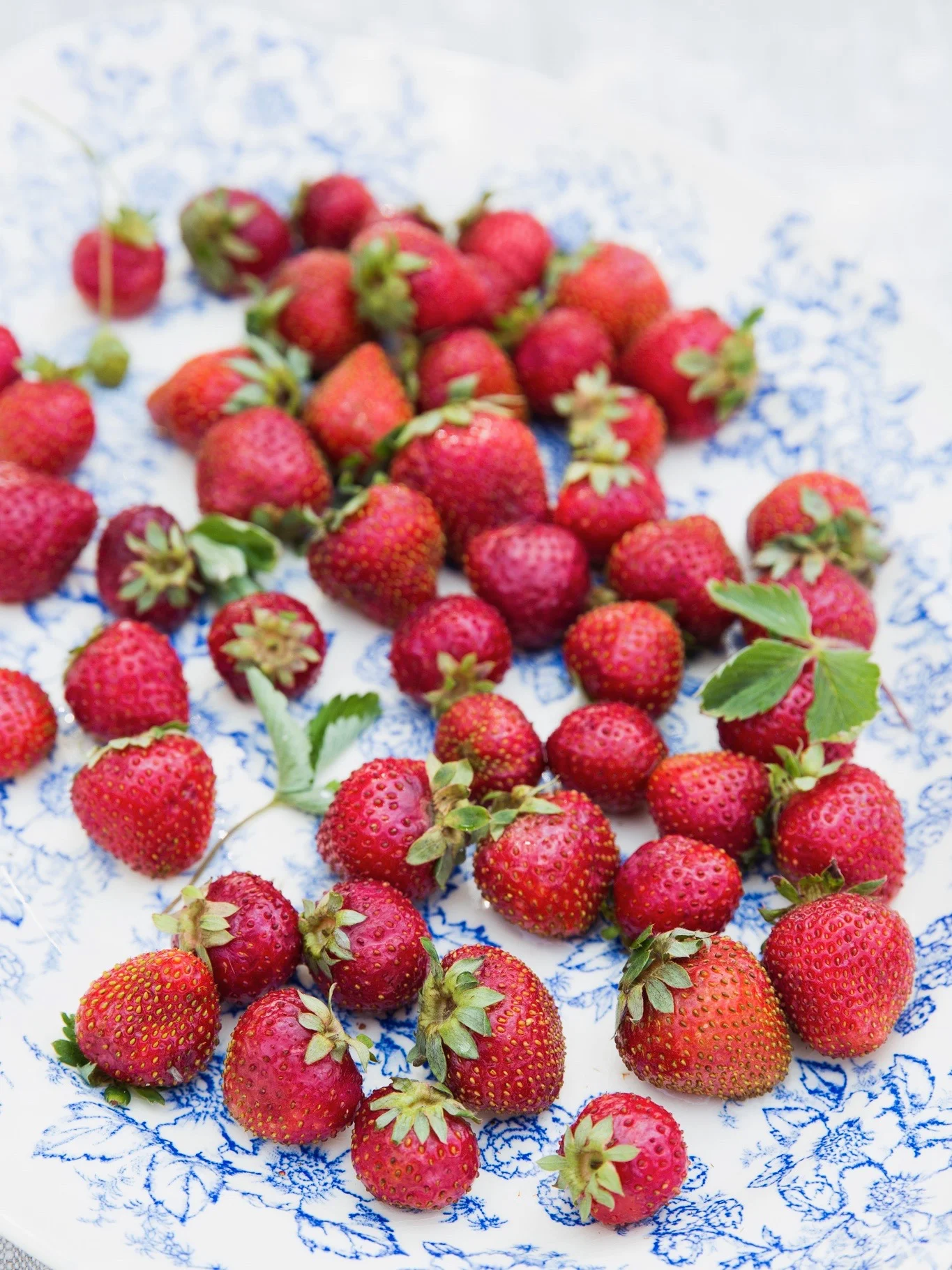 RPS1689_Ing_Strawberry_1502.jpg