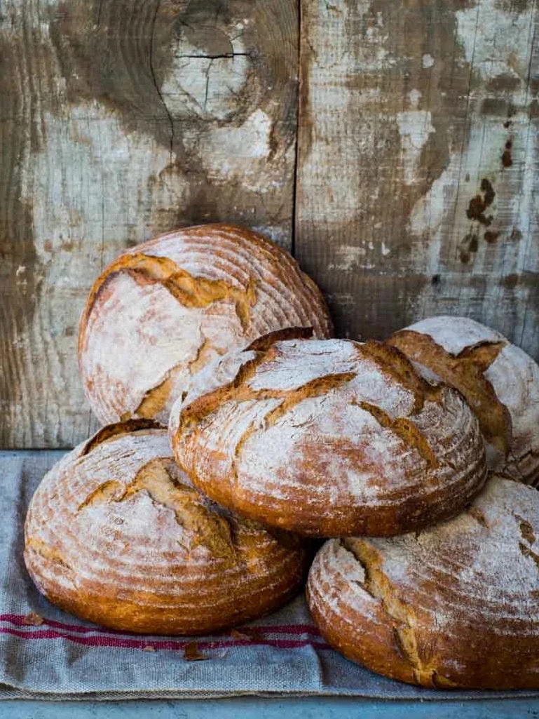 _DSC6756 bread loaves.jpg