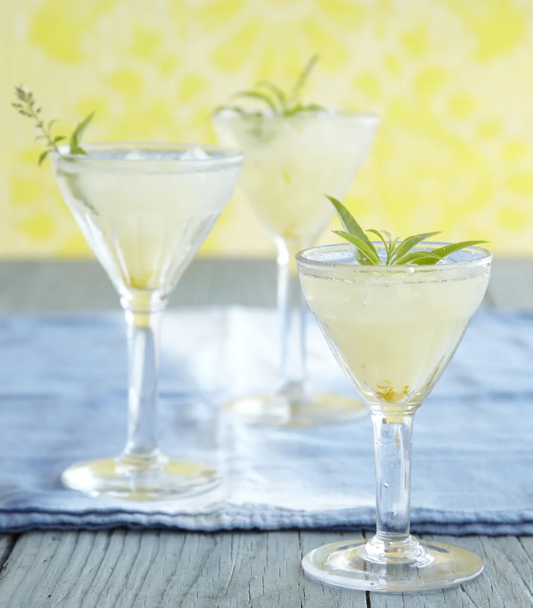 WS_TR_Juicy_Meyer_Lemon_Drops_v2_02.jpg