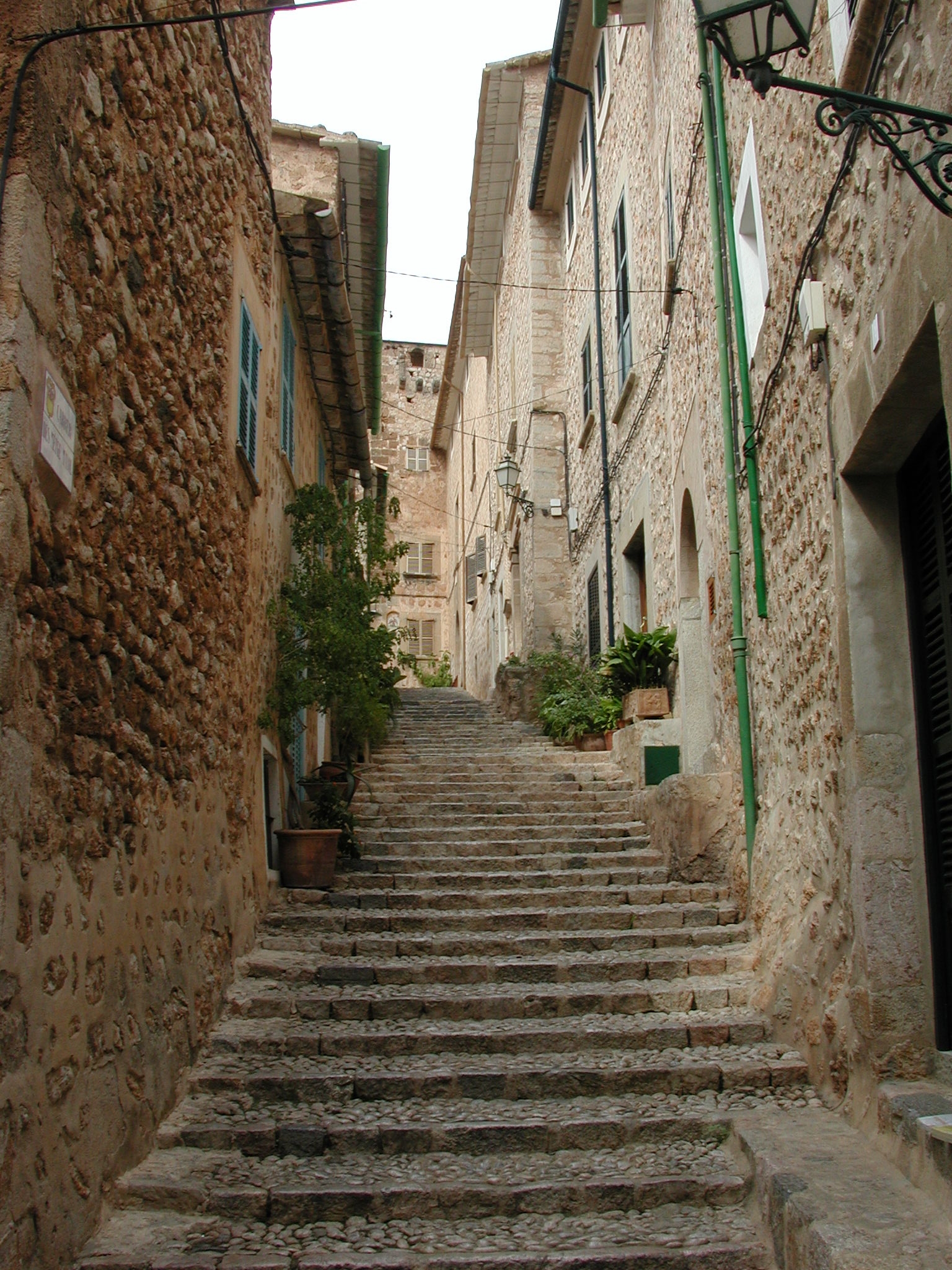 DSCN0062.jpg