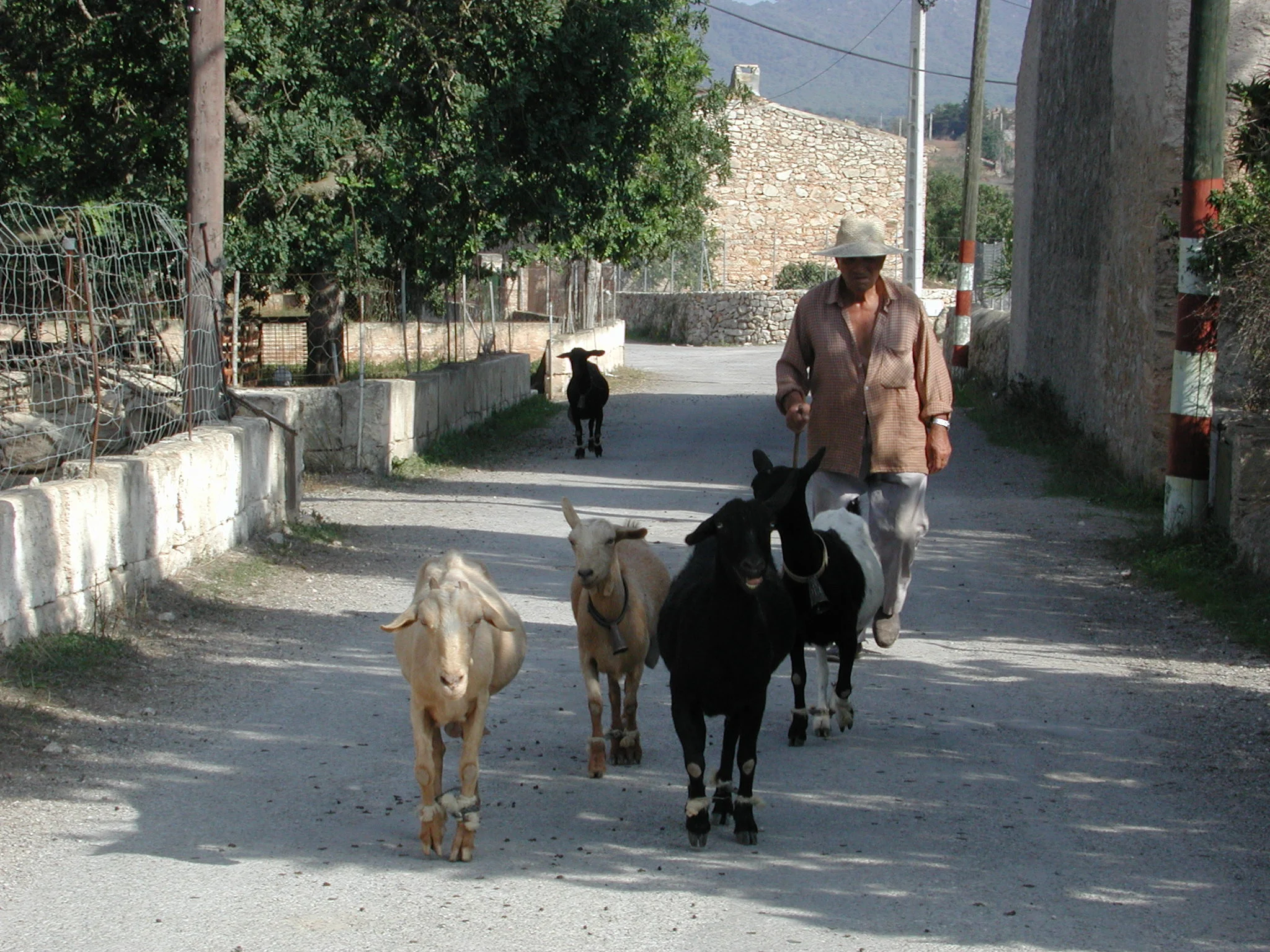 DSCN0119.jpg