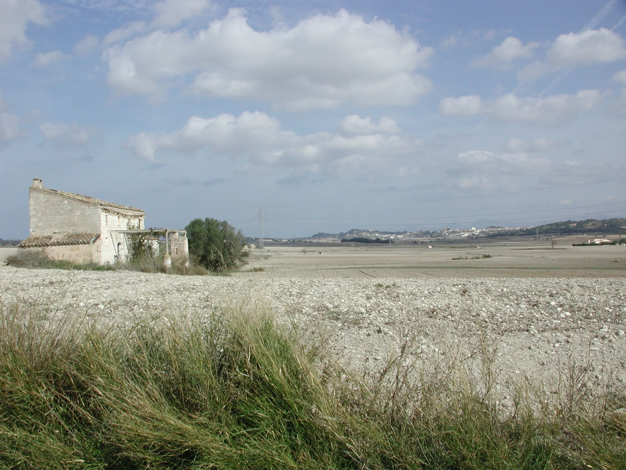 DSCN0147.jpg