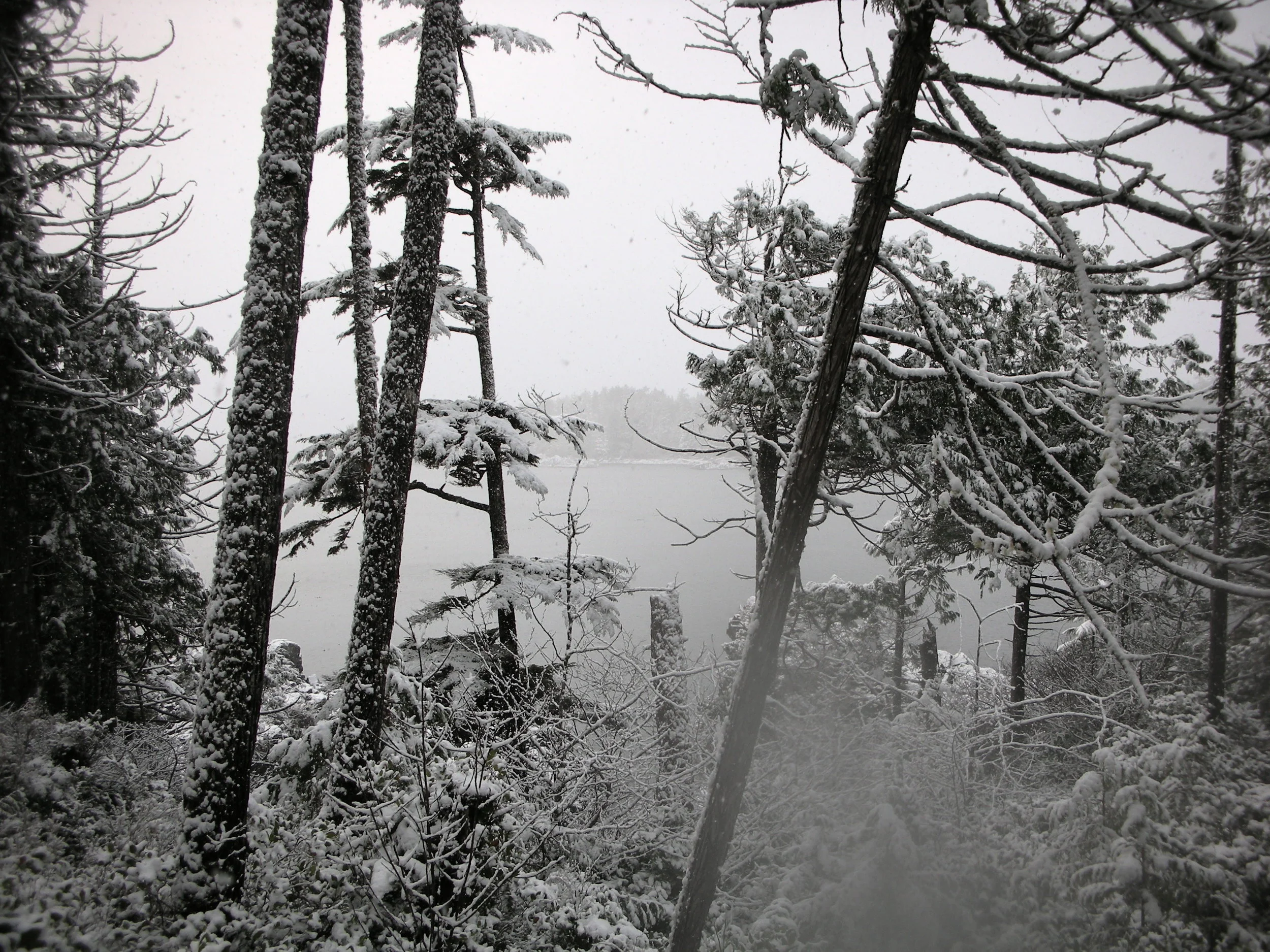 DSCN0218.jpg