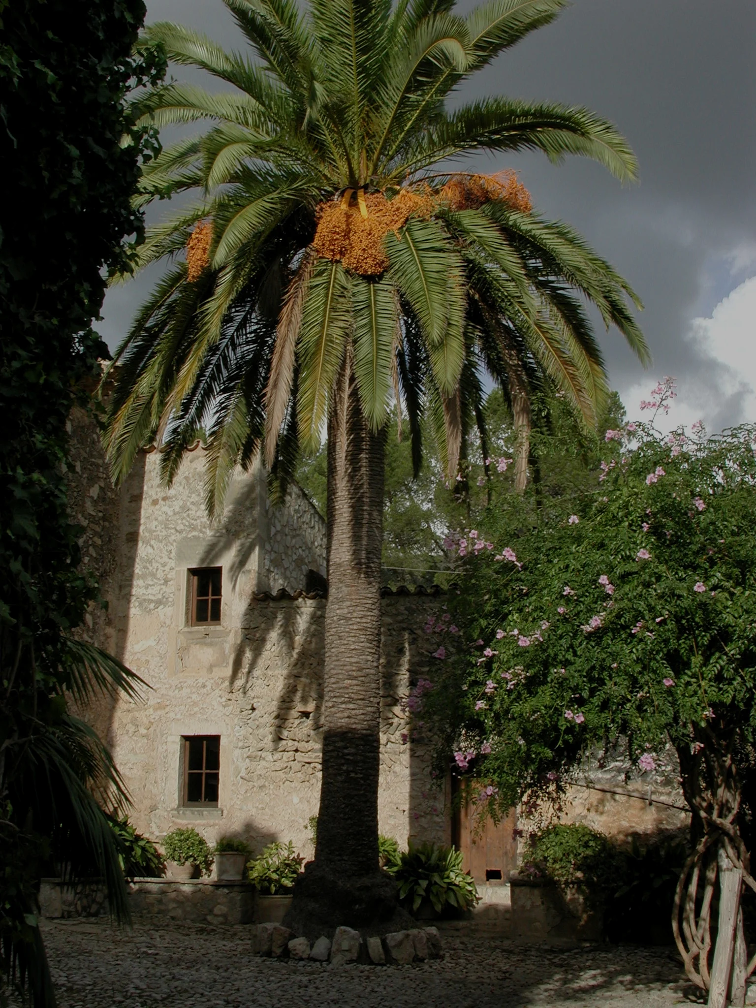 DSCN0243.jpg