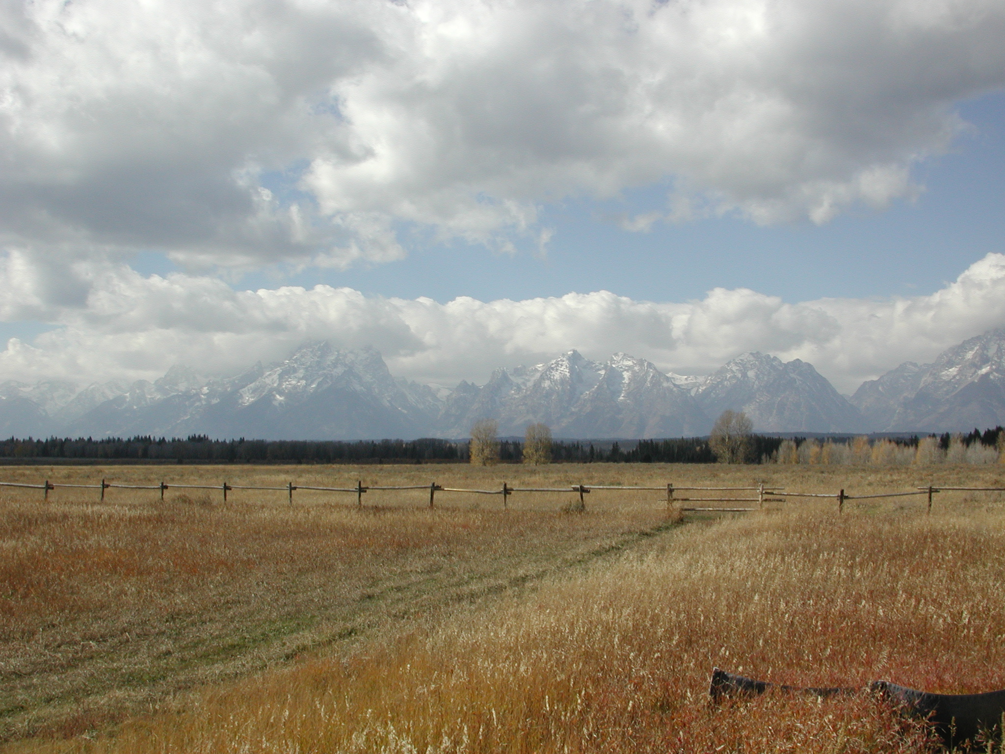 DSCN0719.jpg