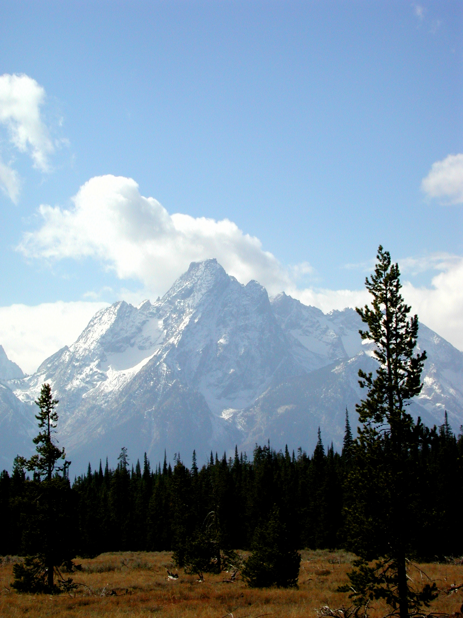 DSCN0718.jpg