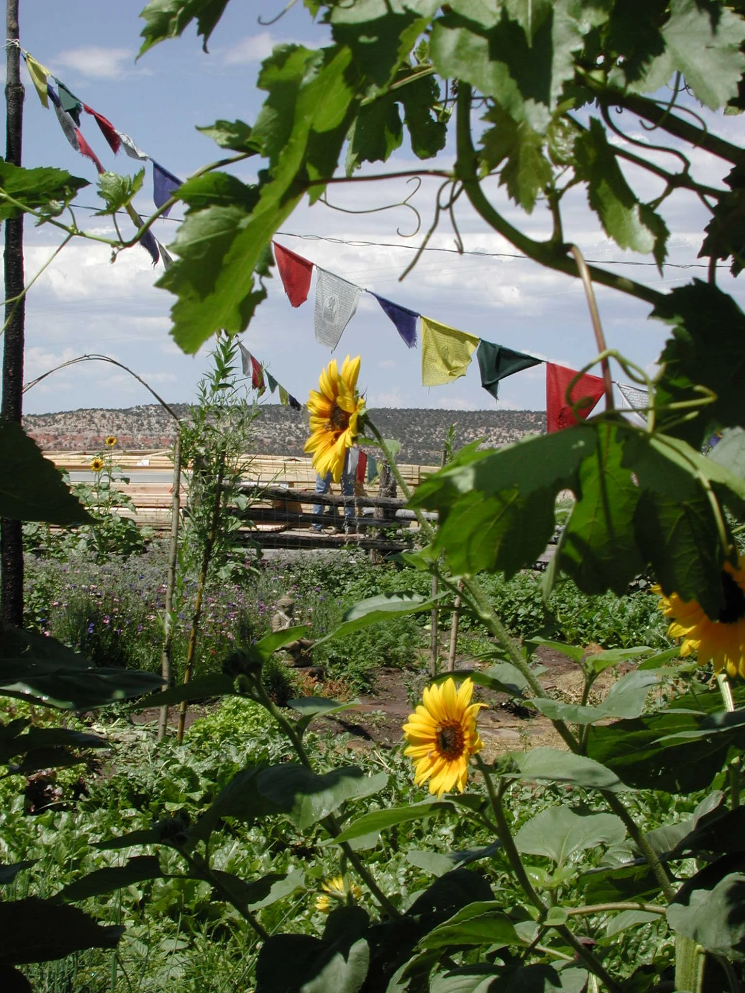 DSCN2291.jpg