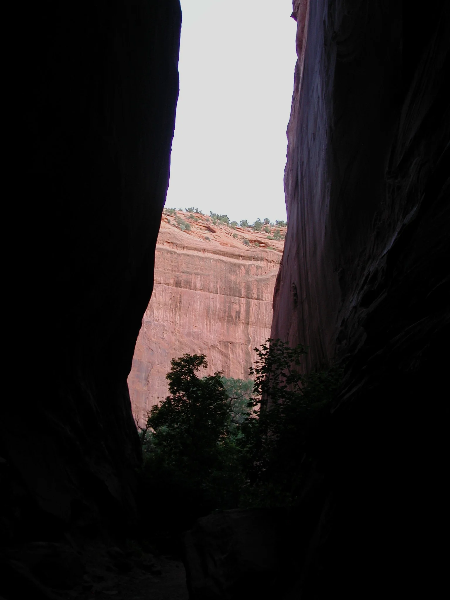 DSCN2355.jpg