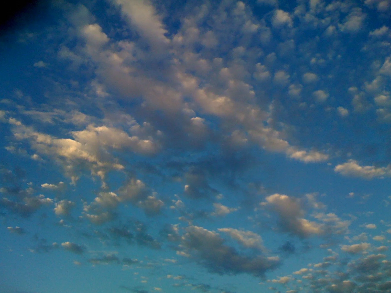 IMG_0840.jpeg