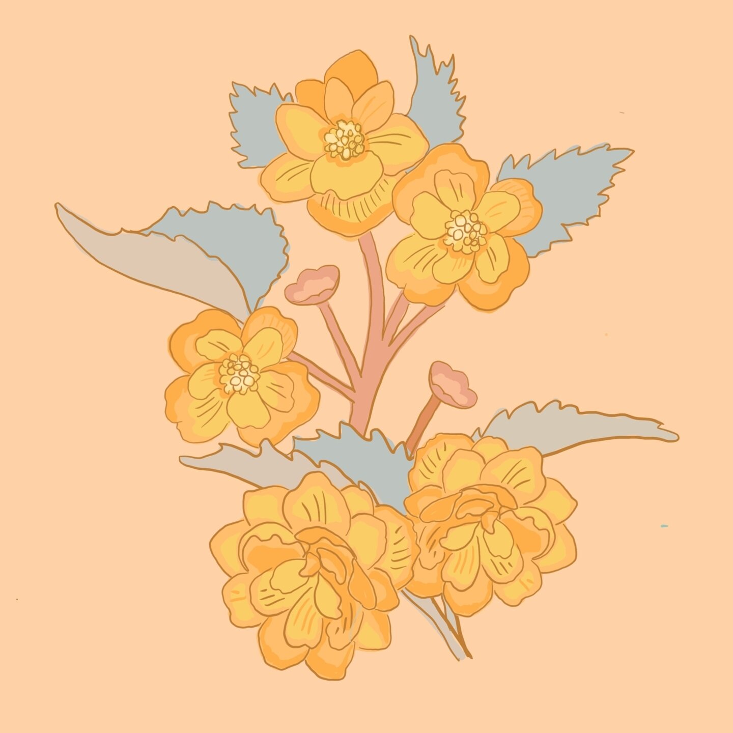.
. 
. 
.
.
#begonia #begonias #floraldesign #floralart #floralillustration #surfacedesign #flower #flowers #procreate #procreateillustration