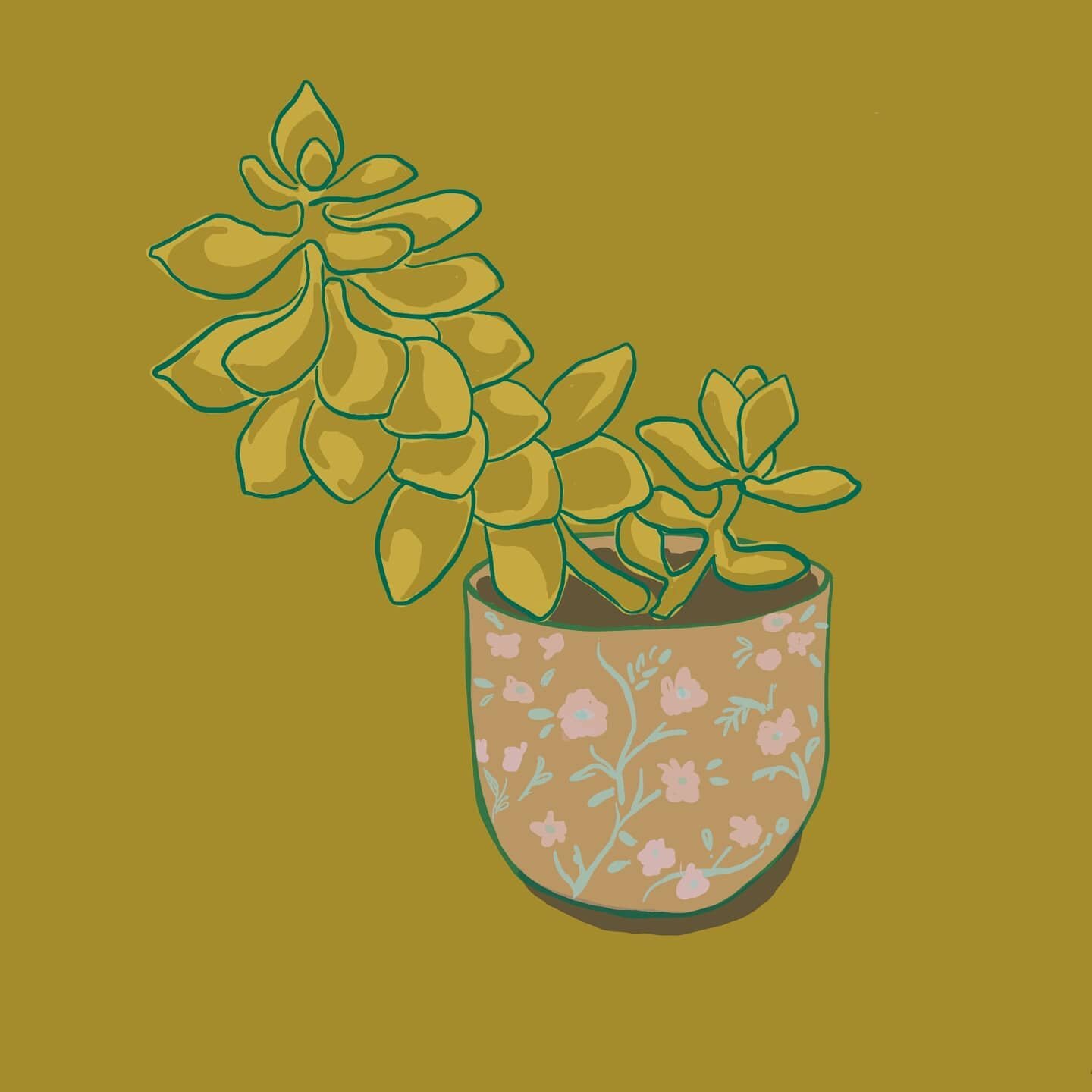 .
.
.
.
#succulents #succulentillustration #digitalillustration #plantlife #plantsketch #surfacedesign #illustration