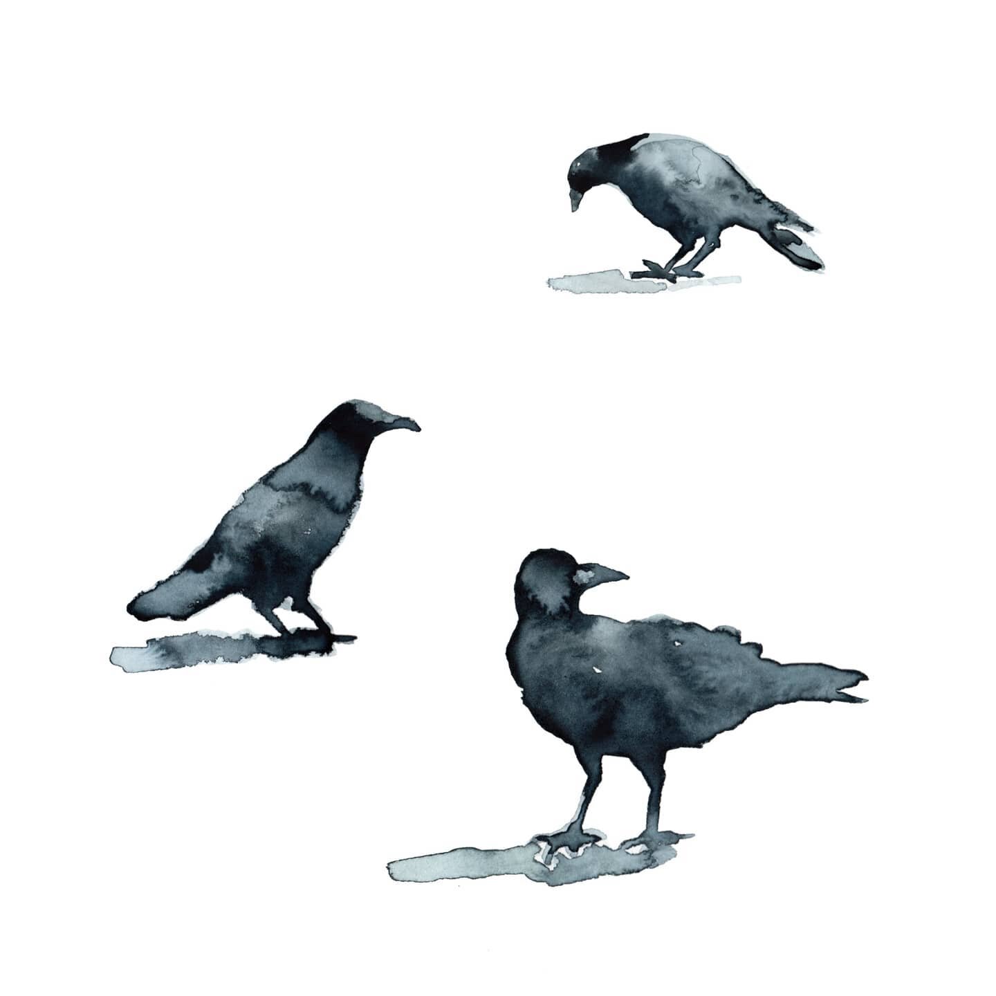 .
.
#illustration #birdillustration #watercolour #watercolor #bird #crow #sketchbook