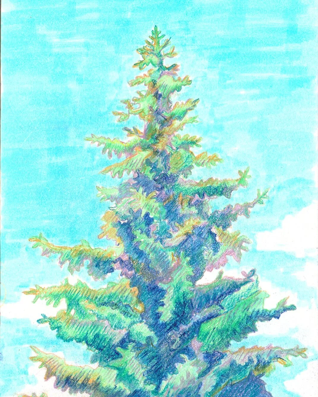 .
.
.
.
.
#tree #treesofinstagram #treeart #sketch #mixedmediaartist #derwent #derwentcoloursoft #coloredpencil #crayondecouleur #summerdrawing #lapicesdecolores