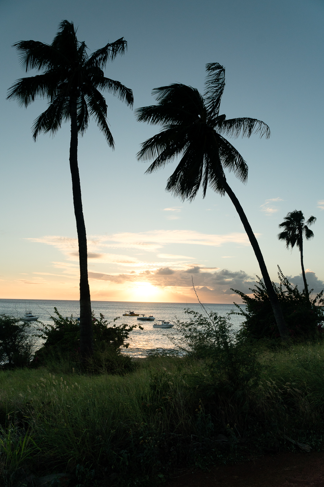 2019-07-28_-_Molokai_2_Oahu_000013.jpg