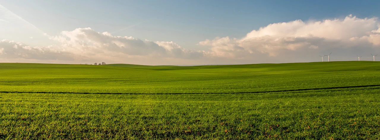 agriculture-countryside-crop-388415_Shorty.jpg