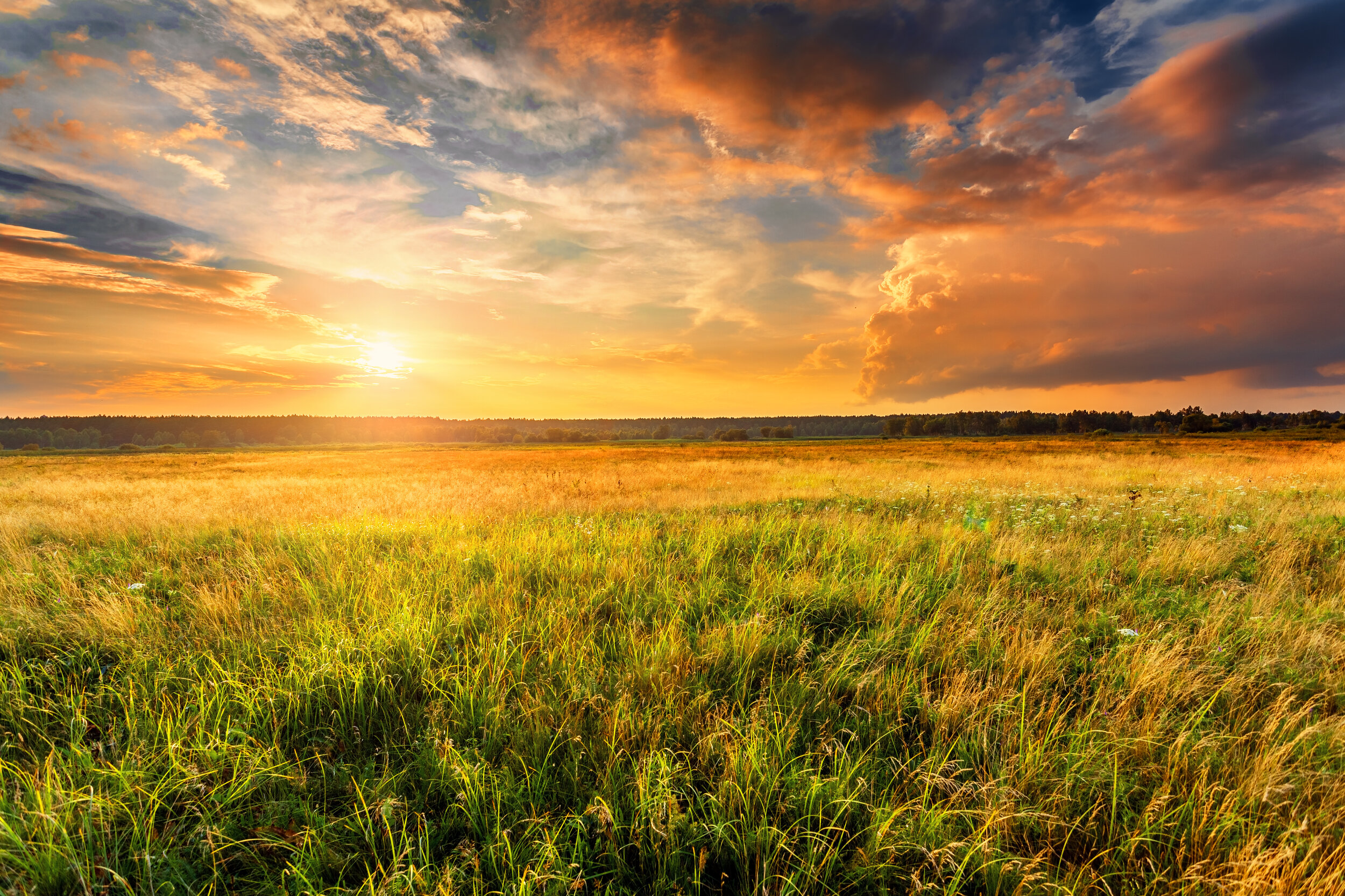 Open Prairie Open Prairie