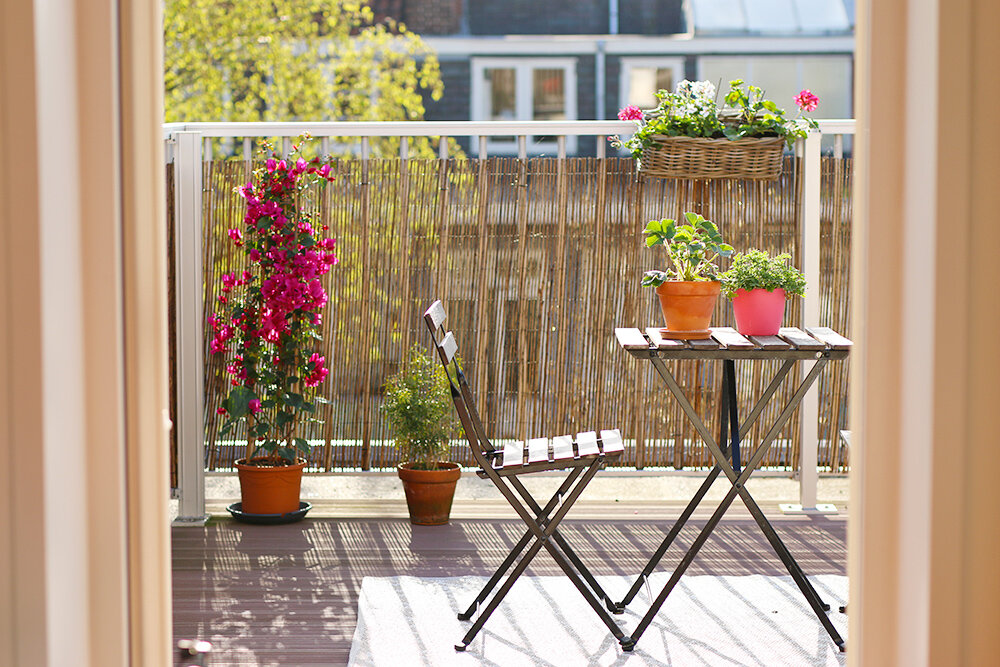 selection-plantes-balcon-terrasse (1).jpg