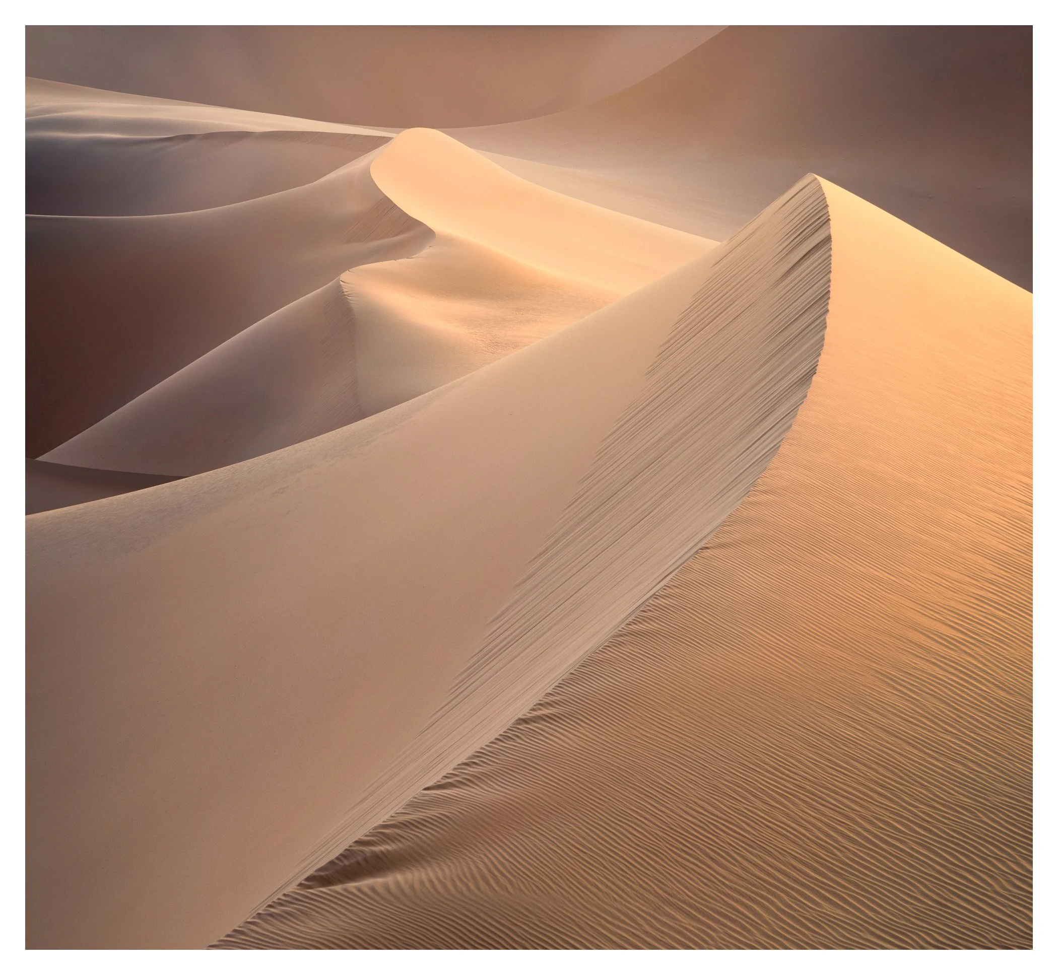 Windblown V, Badan Jilin,  Inner Mongolia (2024)