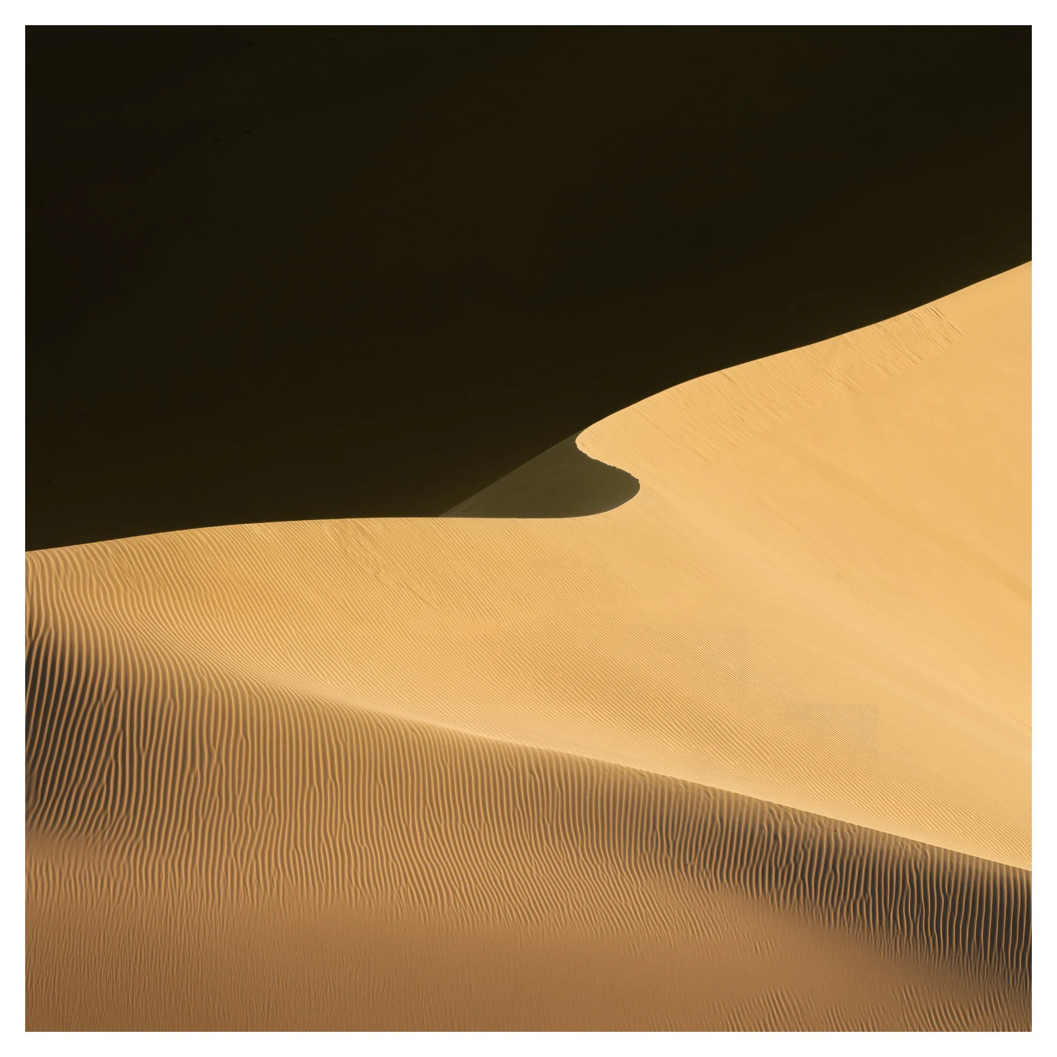 Windblown IV, Badan Jilin,  Inner Mongolia (2024)