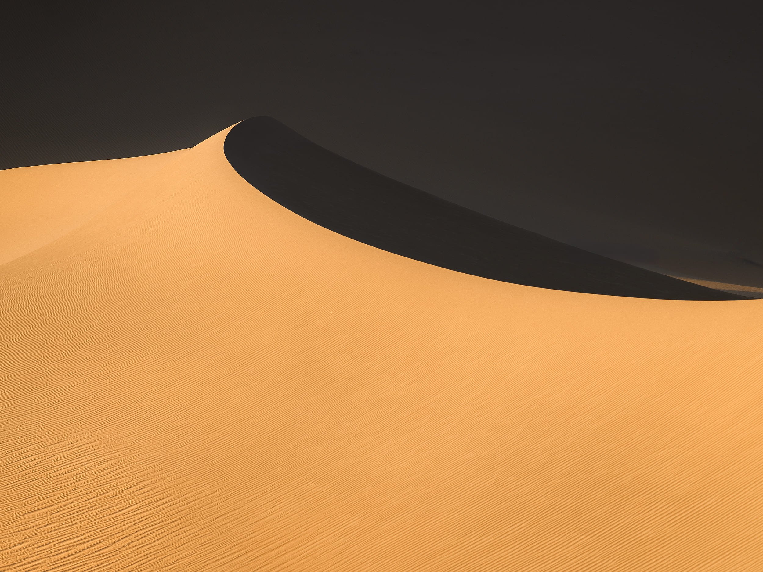 Windblown VI — Inner Mongolia, 2024
