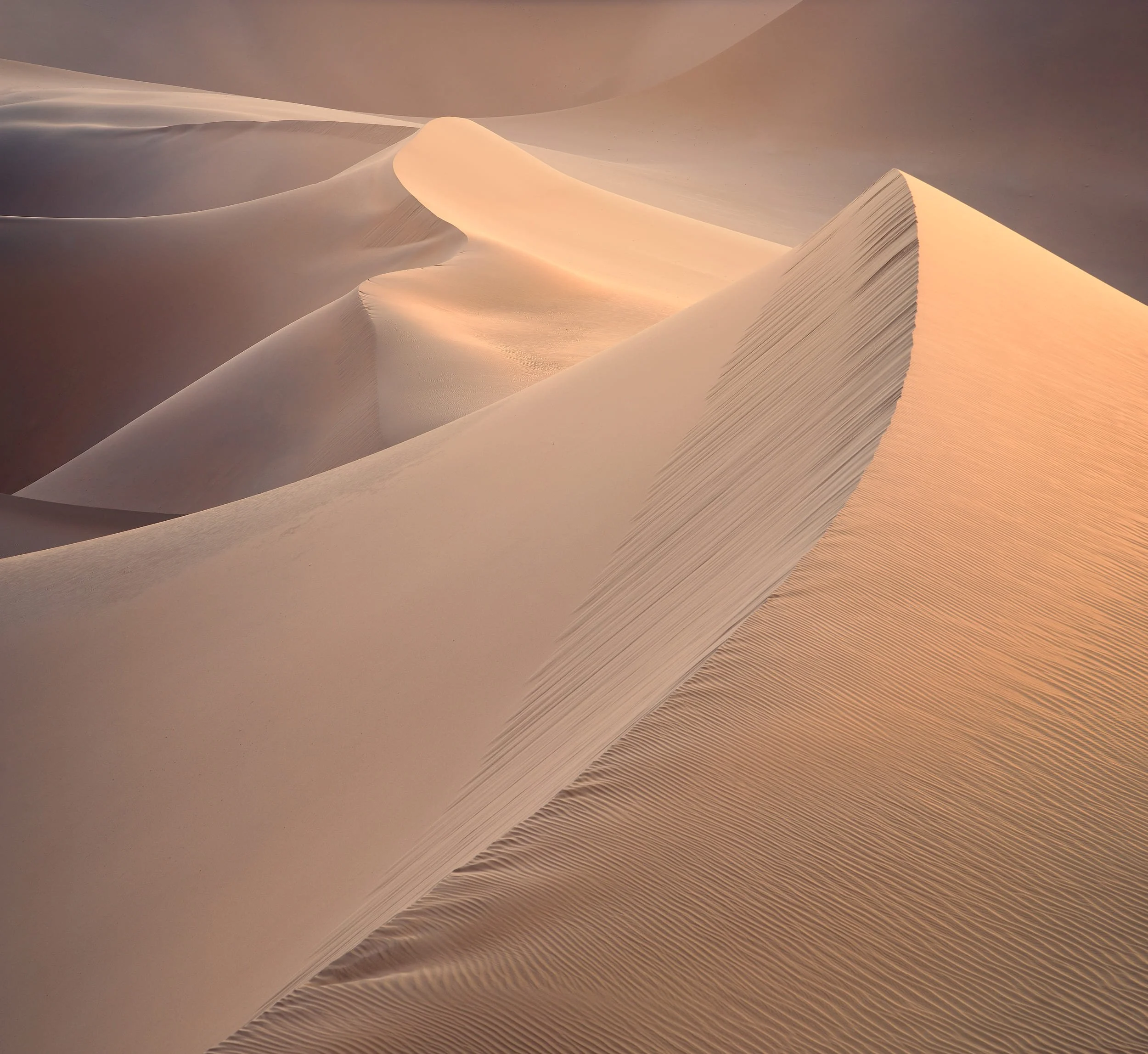 Windblown IV — Inner Mongolia, 2024