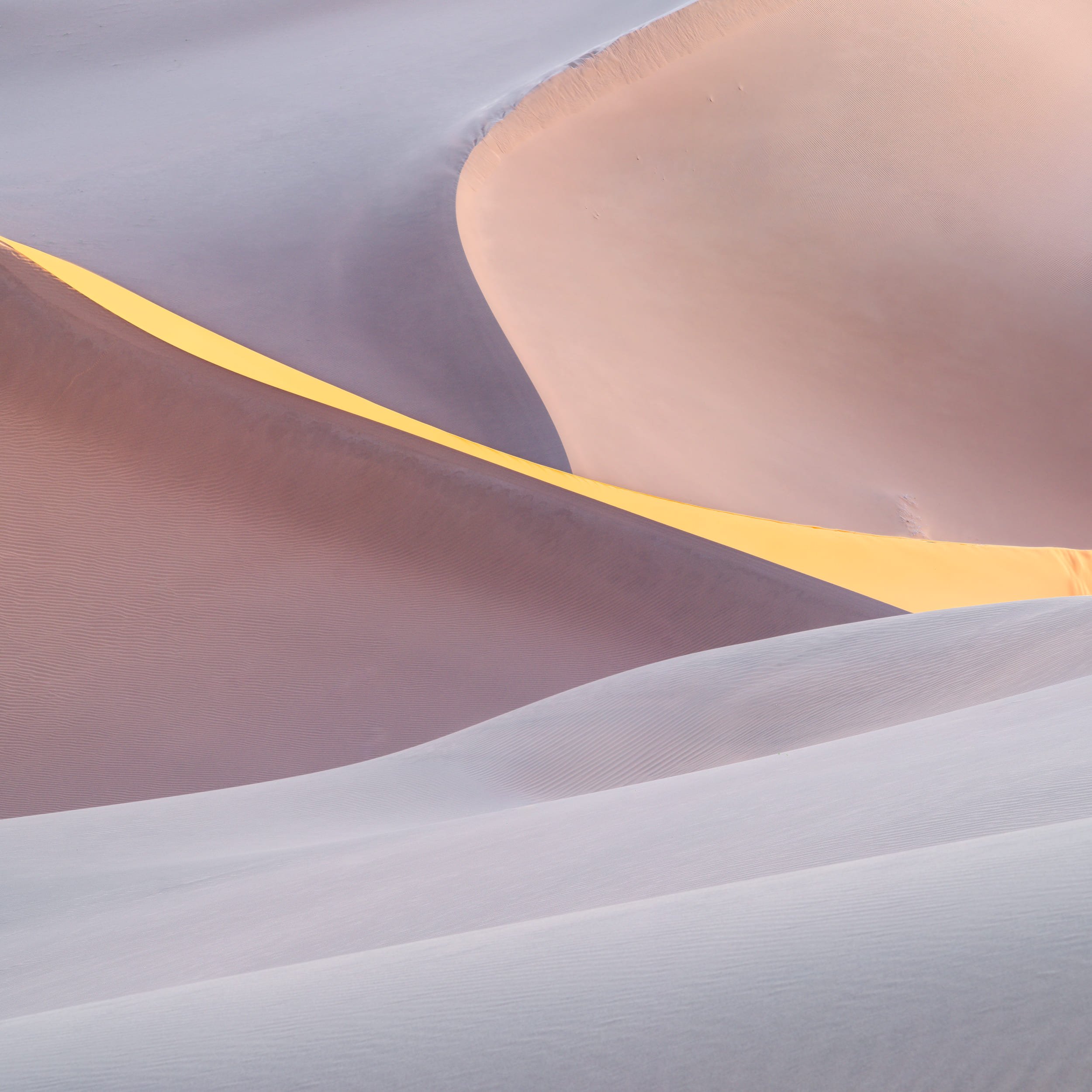 Gobi IV — Inner Mongolia, 2024