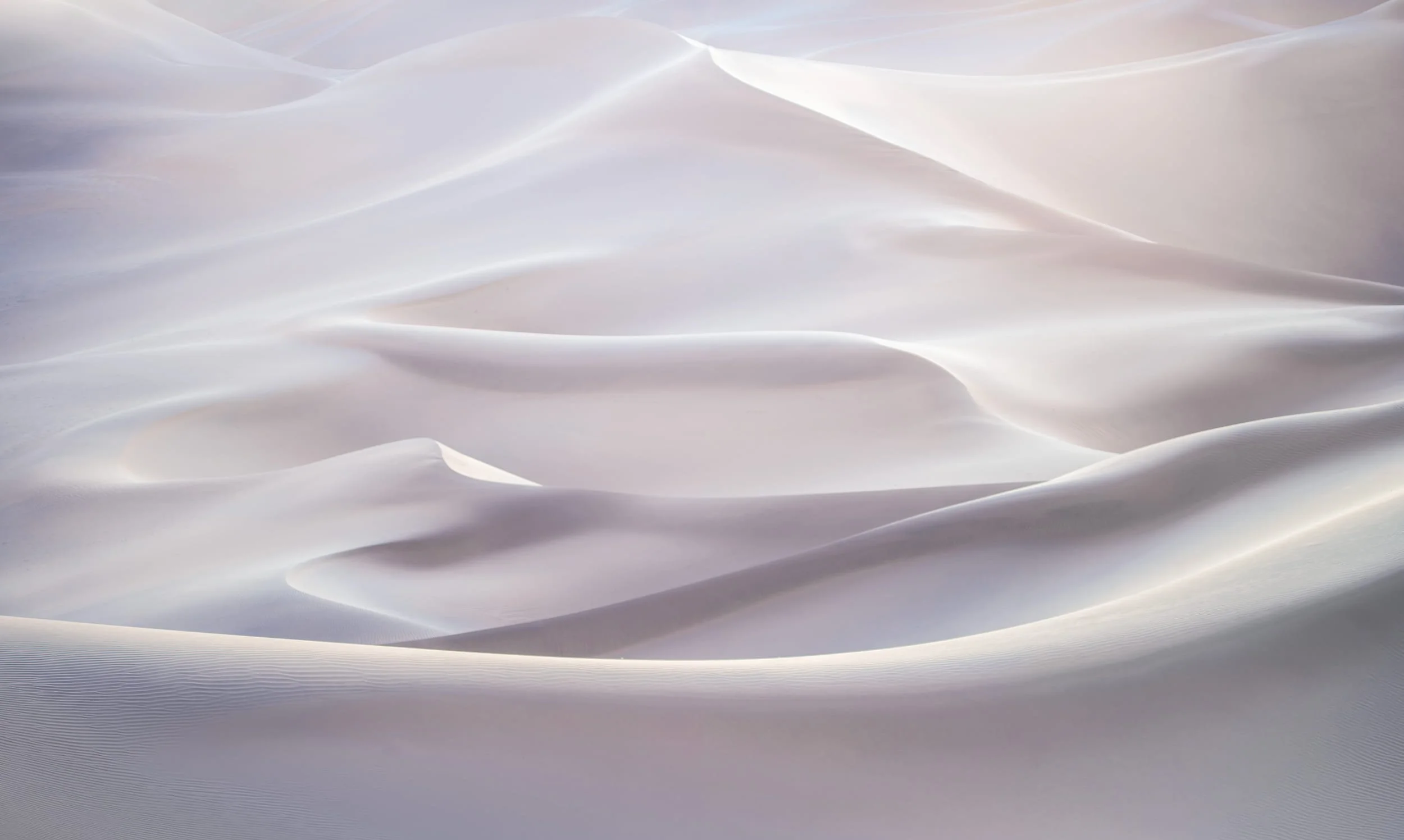 Windblown I — Inner Mongolia, 2024