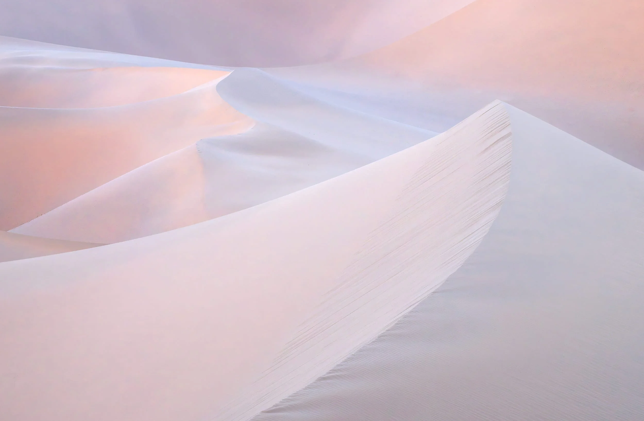 Gobi VII — Inner Mongolia, 2024