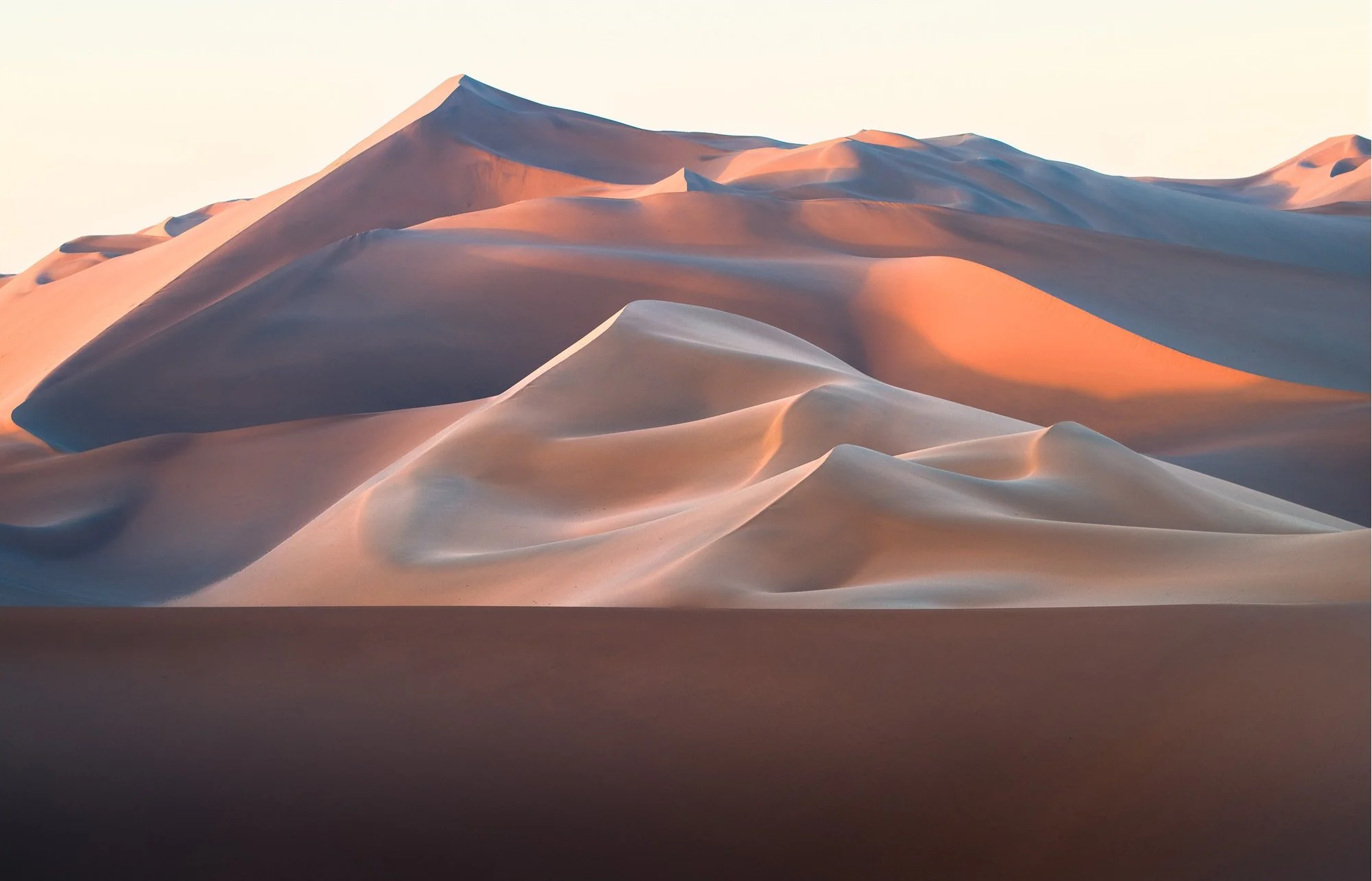 Dune Scape-3.jpg