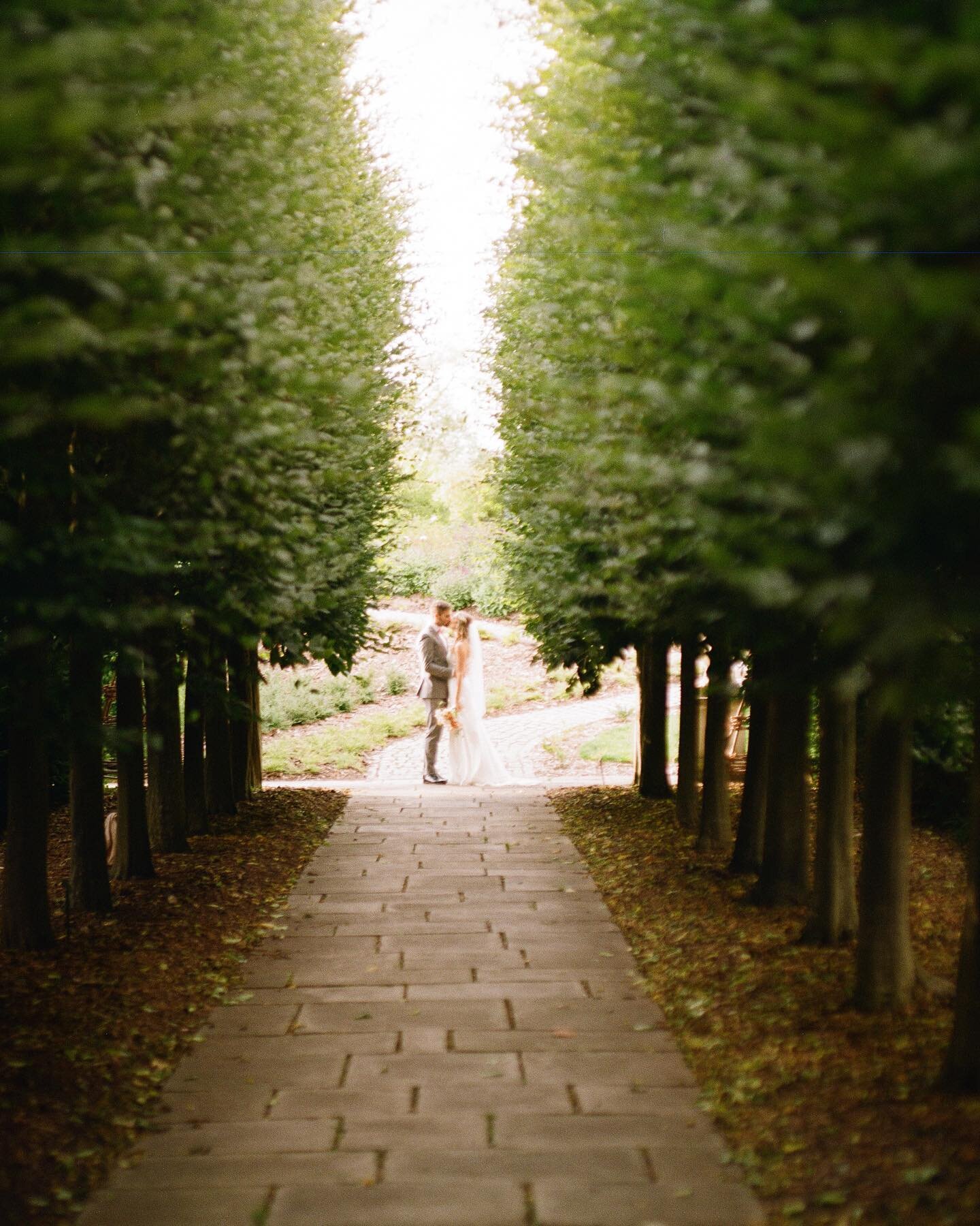 Have some more film goodness for your Saturday! An absolutely stunning day for @jacquelinecw3 &amp; Yannis&rsquo;s day at @kewgardens 

These are a mix of 120 &amp; 35mm still frames taken with the Pentax 67, Canon Sure Shot Max &amp; Voigtlander Bes
