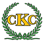 Painting + Pricing — CHRIS KVALE CYCLES