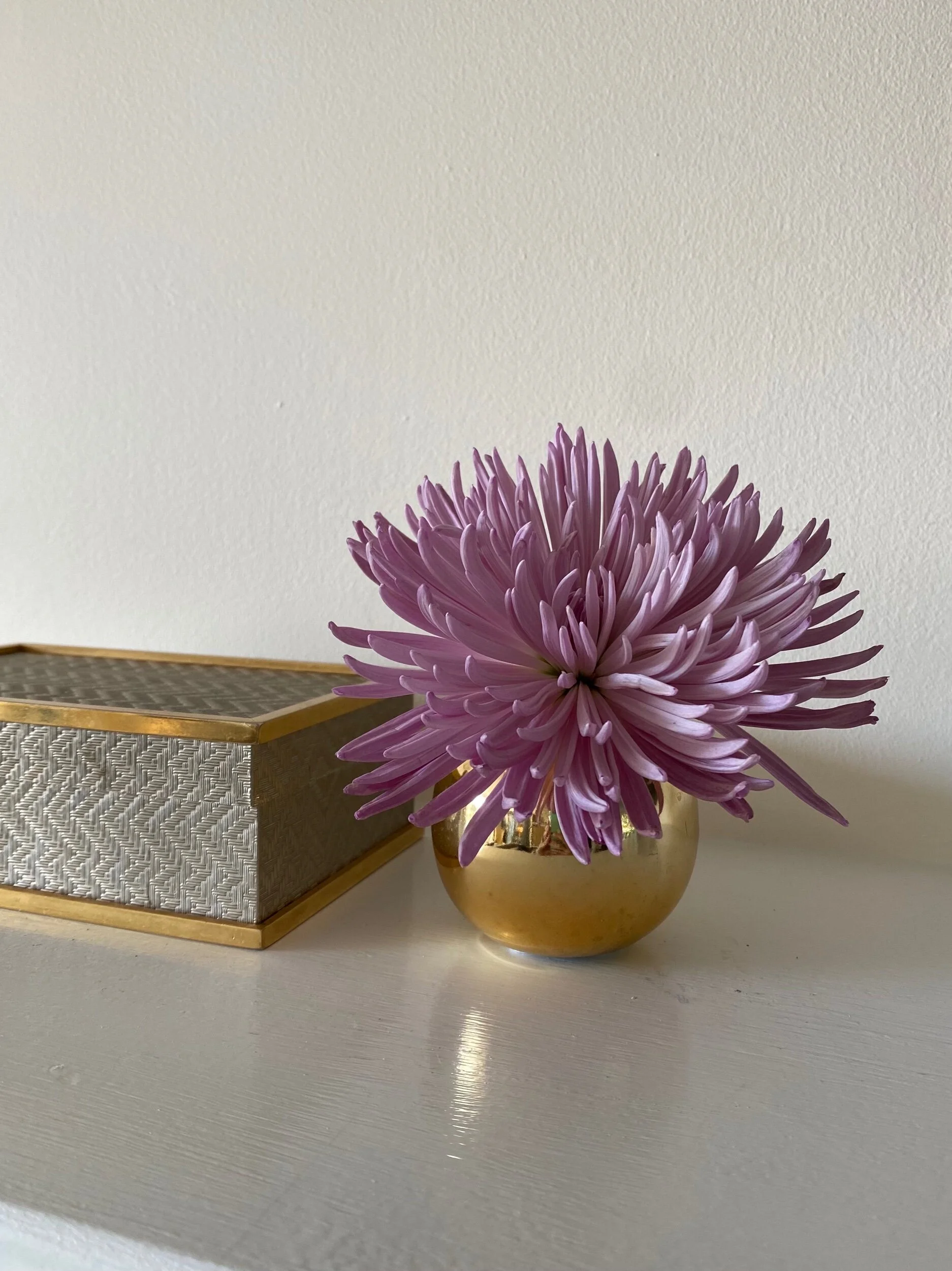 28BAD703-D0A6-4A74-95CF-ECCE76A53C39