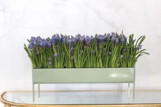 7880A478-5240-4777-94B2-2E3774A1681B