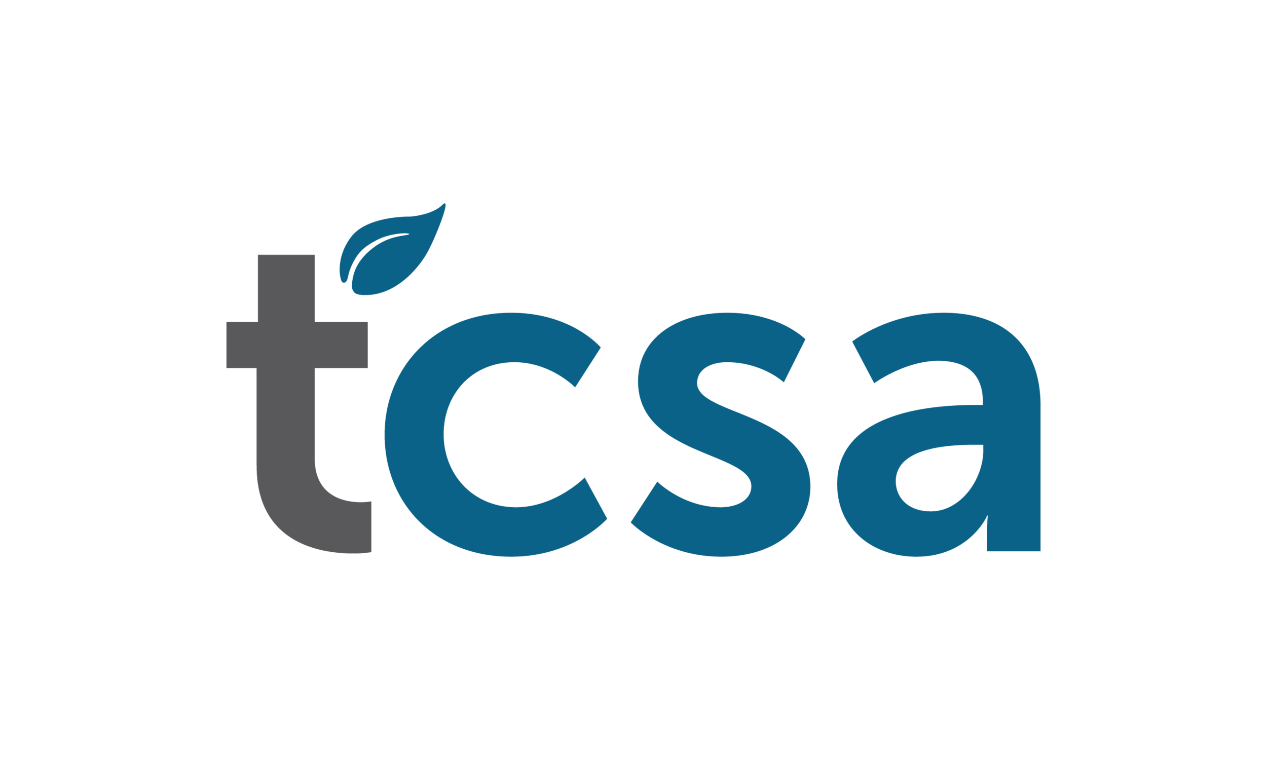 TCSA Summer Committee Meeting