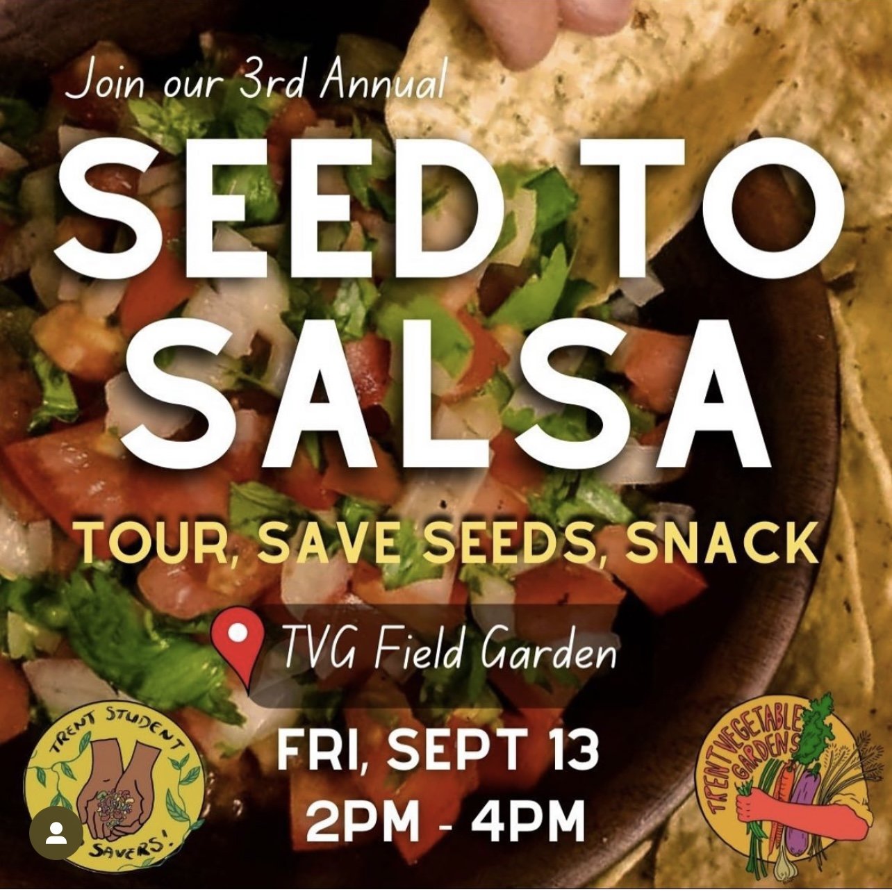 Seed to Salsa