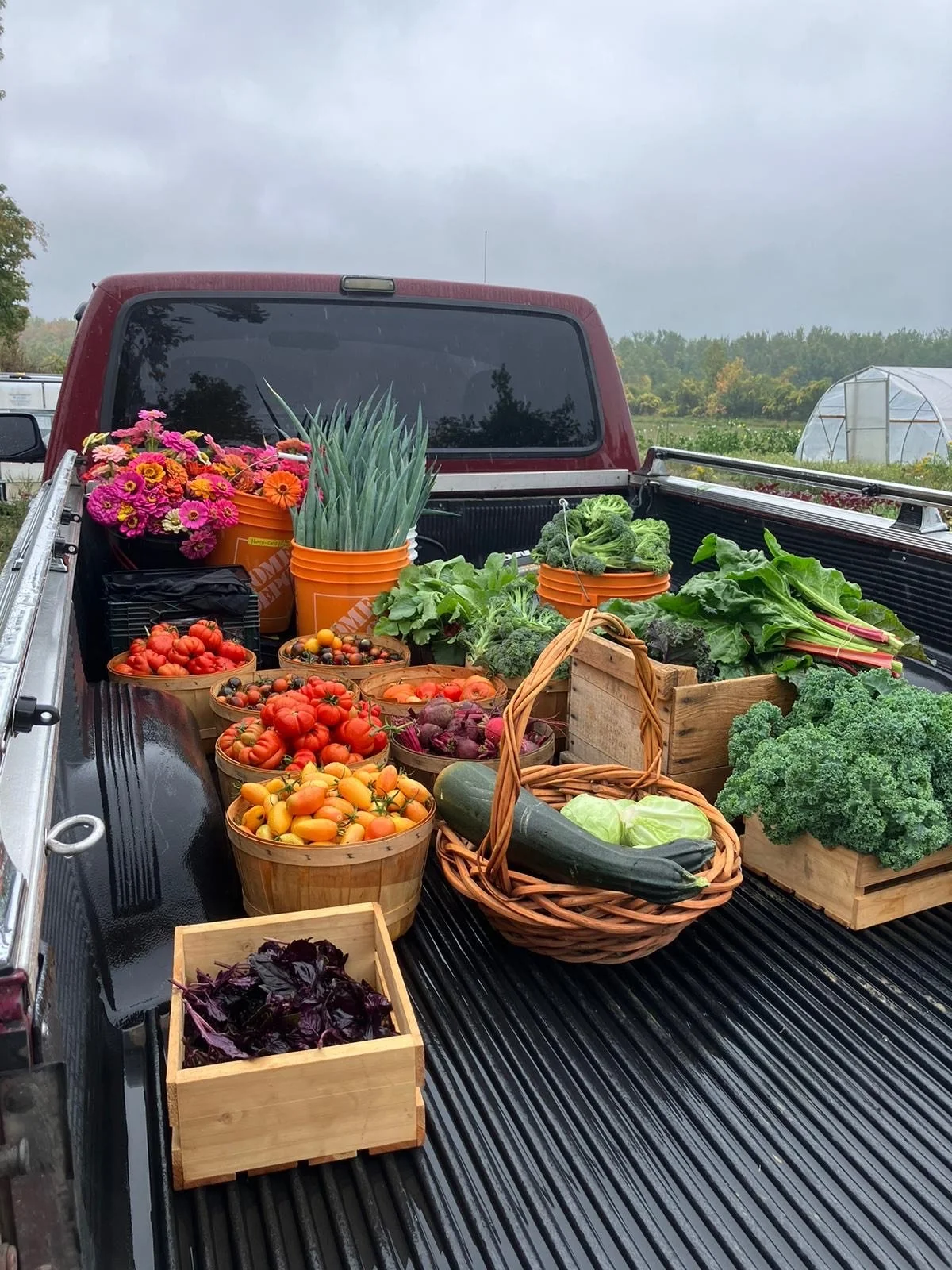 SAFS Free Produce Market