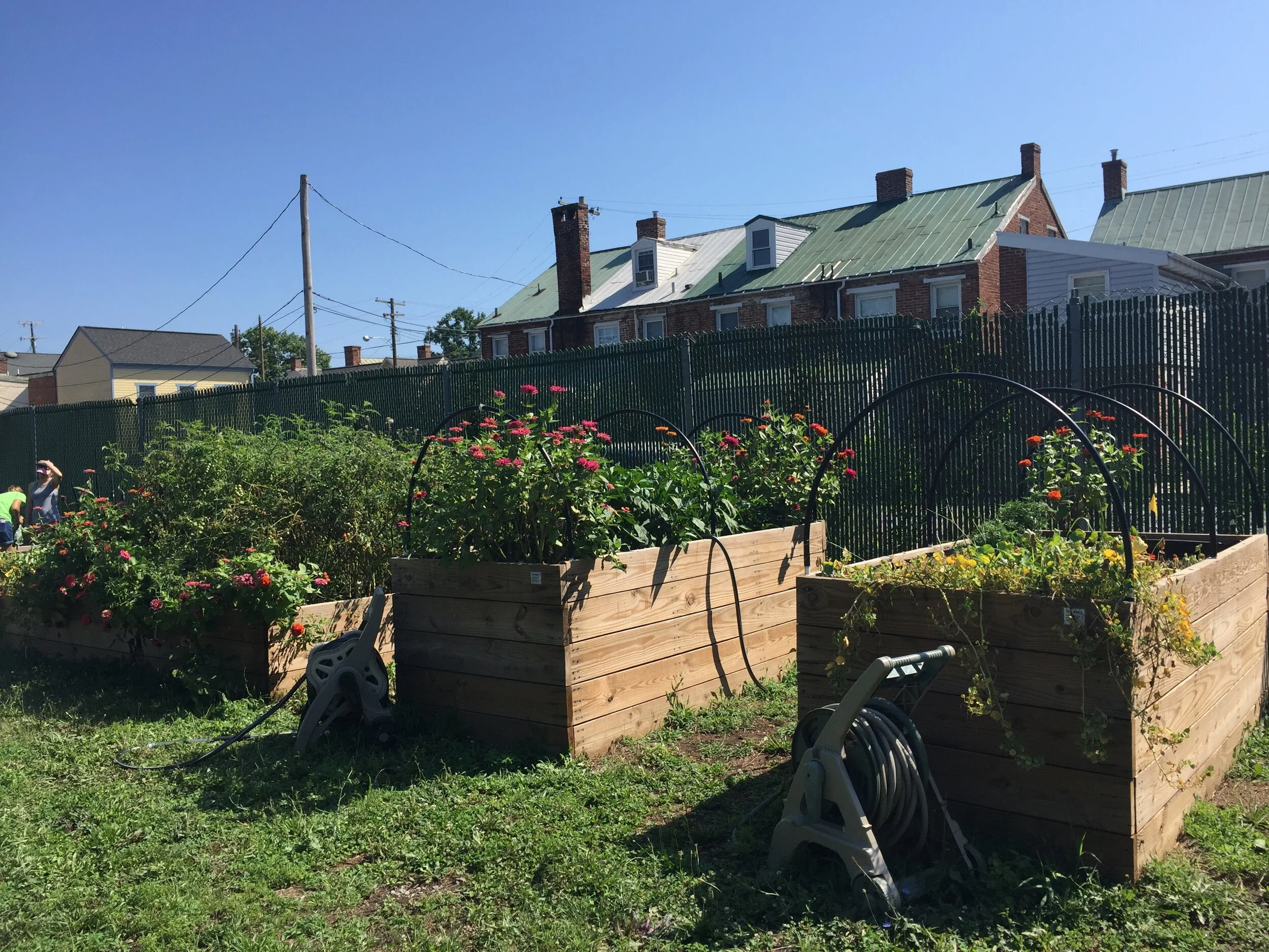 You Can’t Rain Enough On This Parade