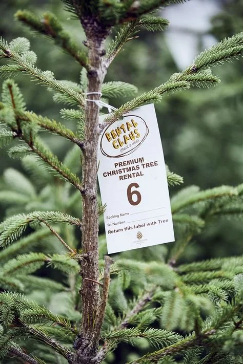 Waste Hater: Craig Tennock