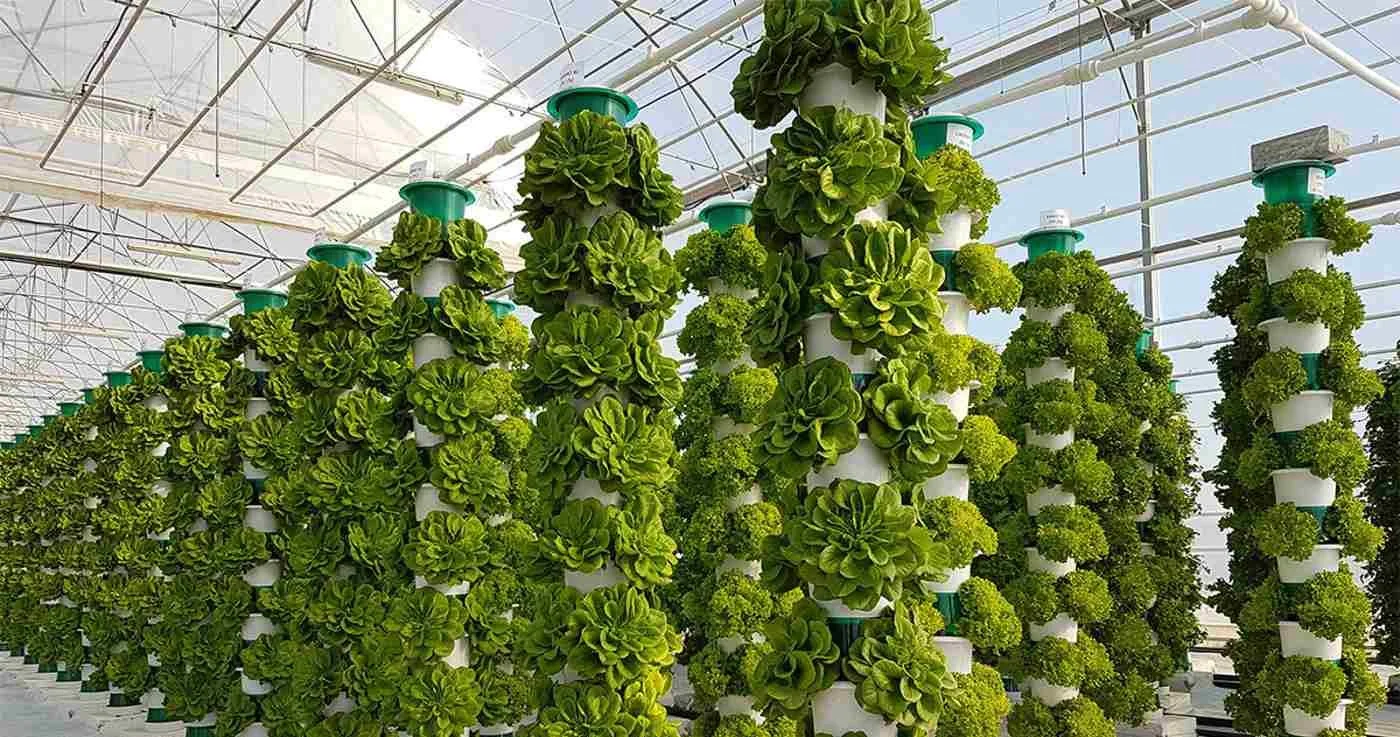 Farming from the Top-Down: Innovations in Agriculture