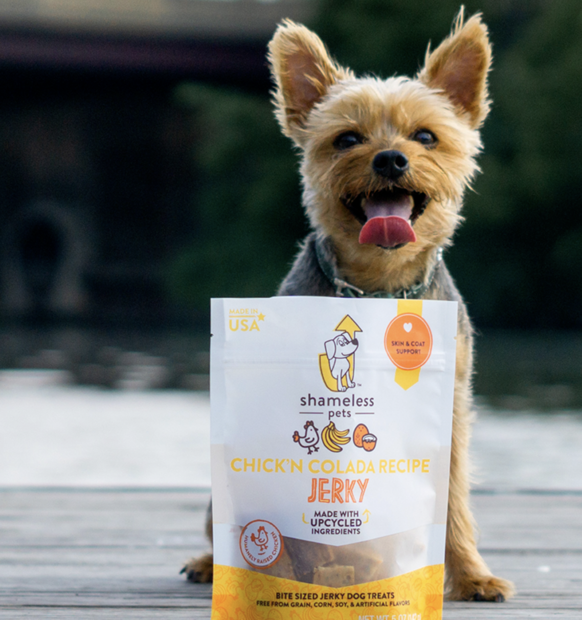 Waste Hater: Shameless Pets