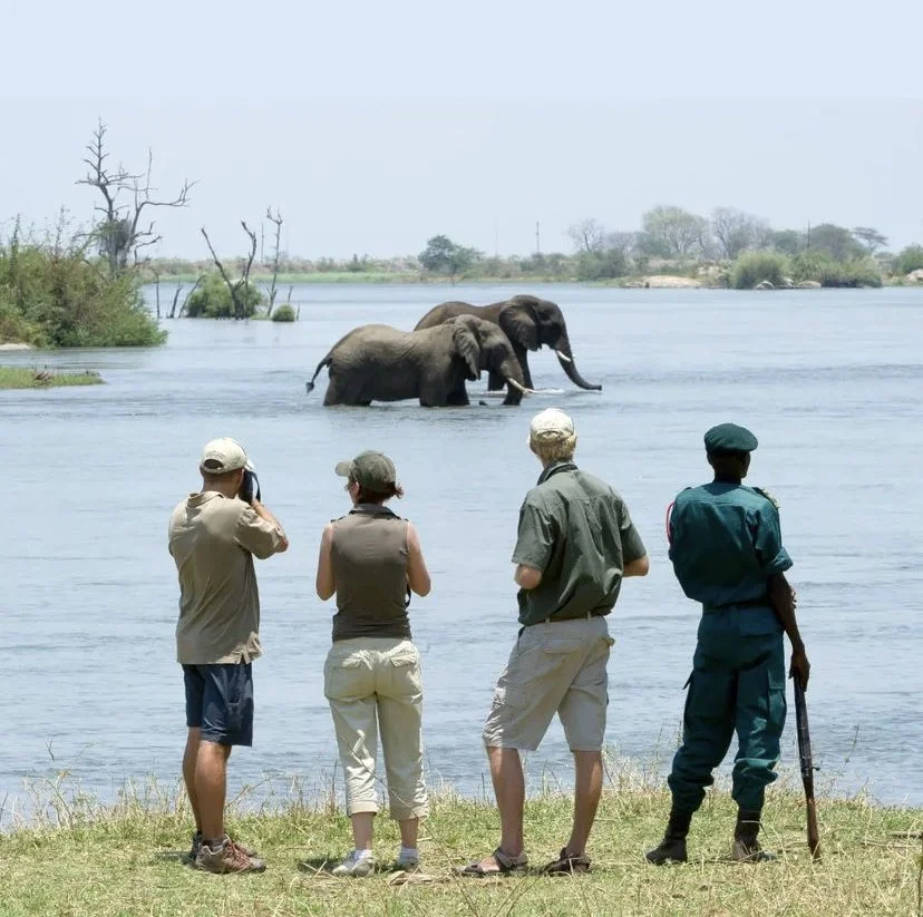 Waste Hater: Earth Changers