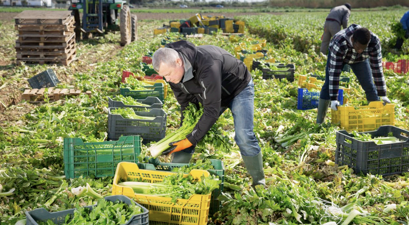 Like What You Eat? It May Not Be an Option in the Future