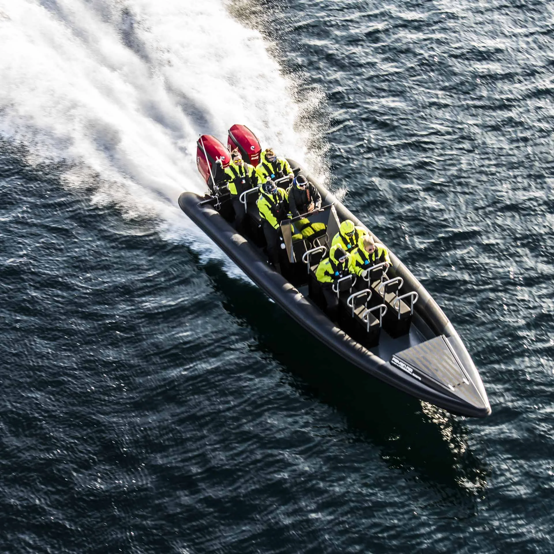 rib-8000785.jpg