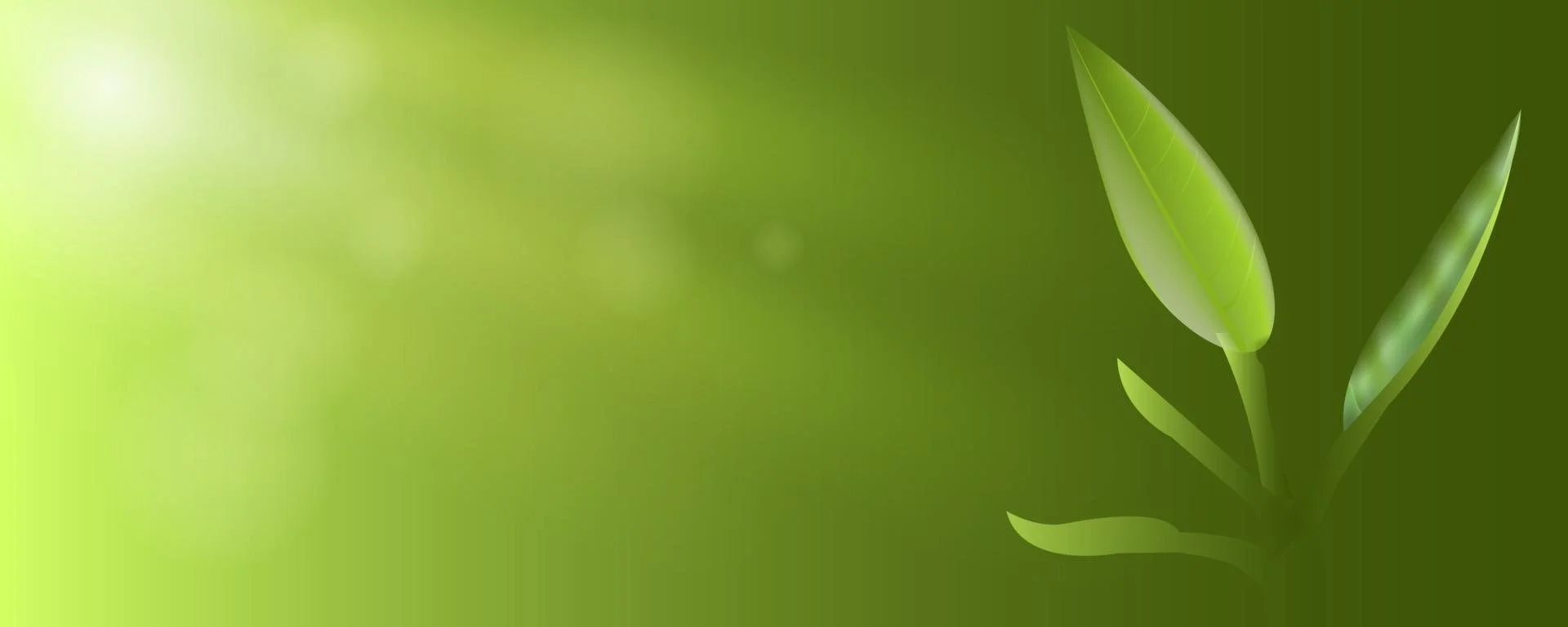 fresh-green-leaves-with-sunshines-banner-background-vector.jpg