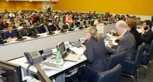 UN_IYF2014_forum.jpg