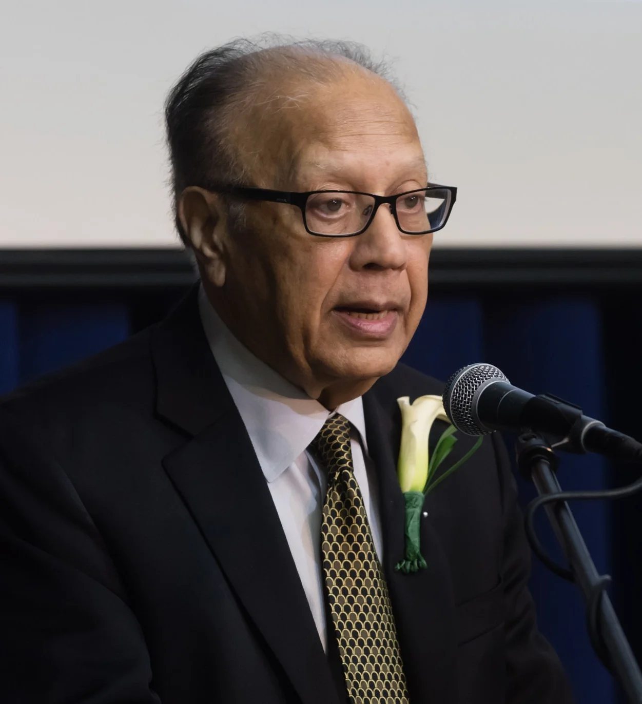 Ambassador Anwarul K. Chowdhury